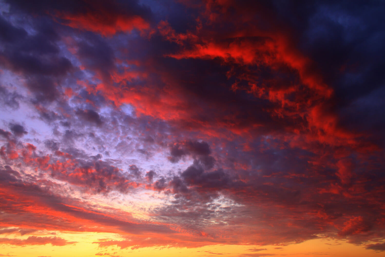 Vibrant Sunrise and Sunset Skies | Luminar Marketplace(55)