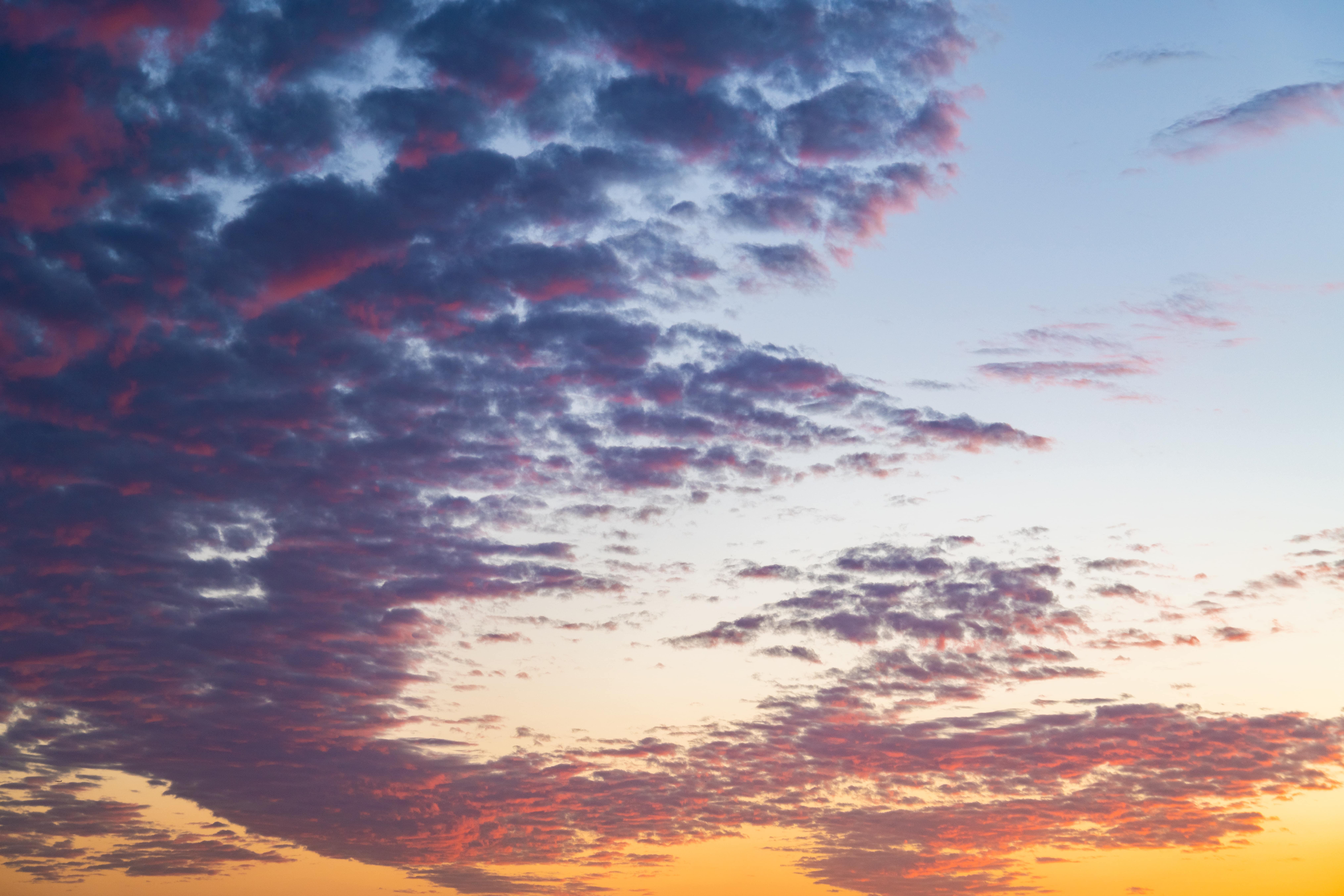 Paradise Hues | Luminar Marketplace(48)