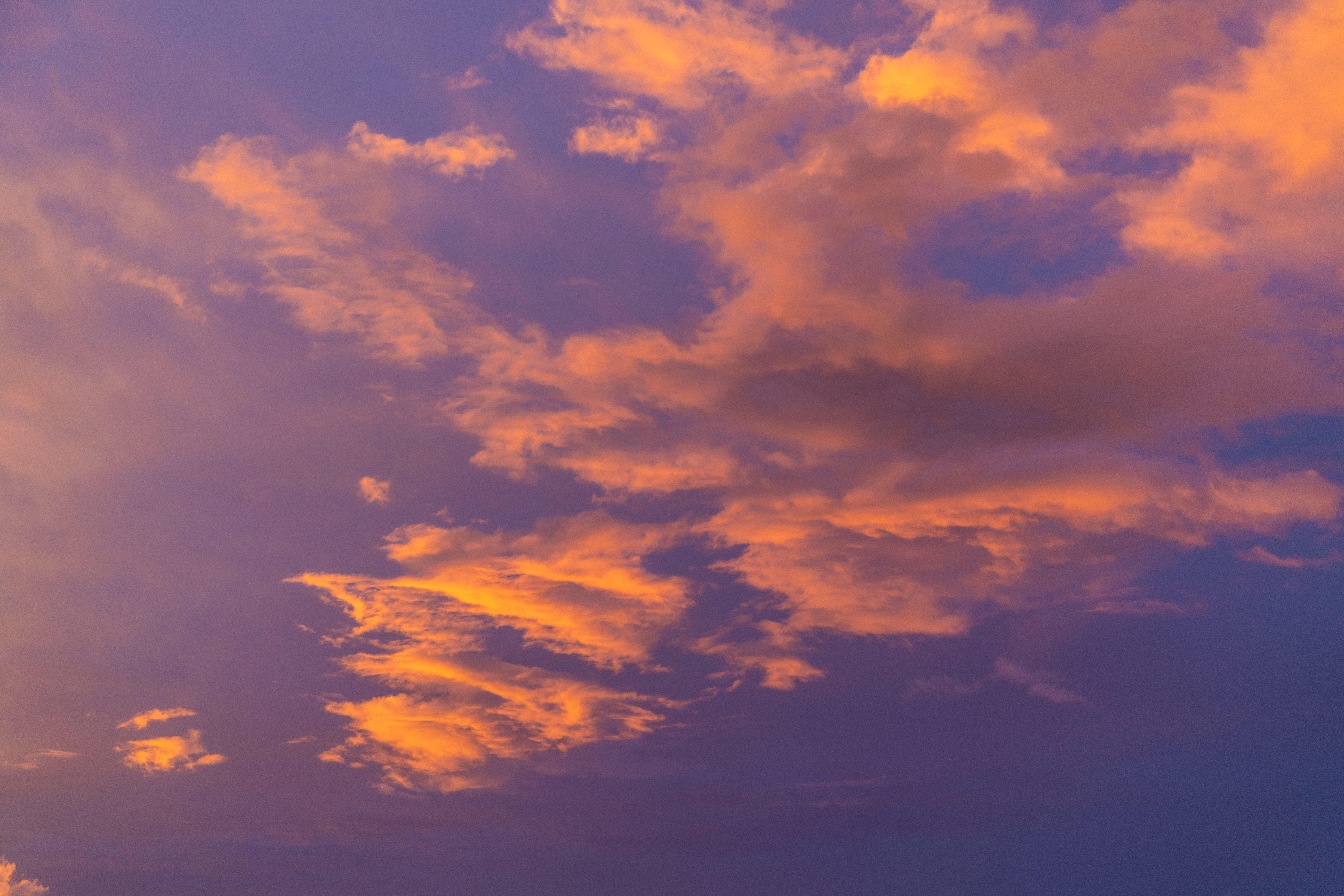 Paradise Hues | Luminar Marketplace(49)