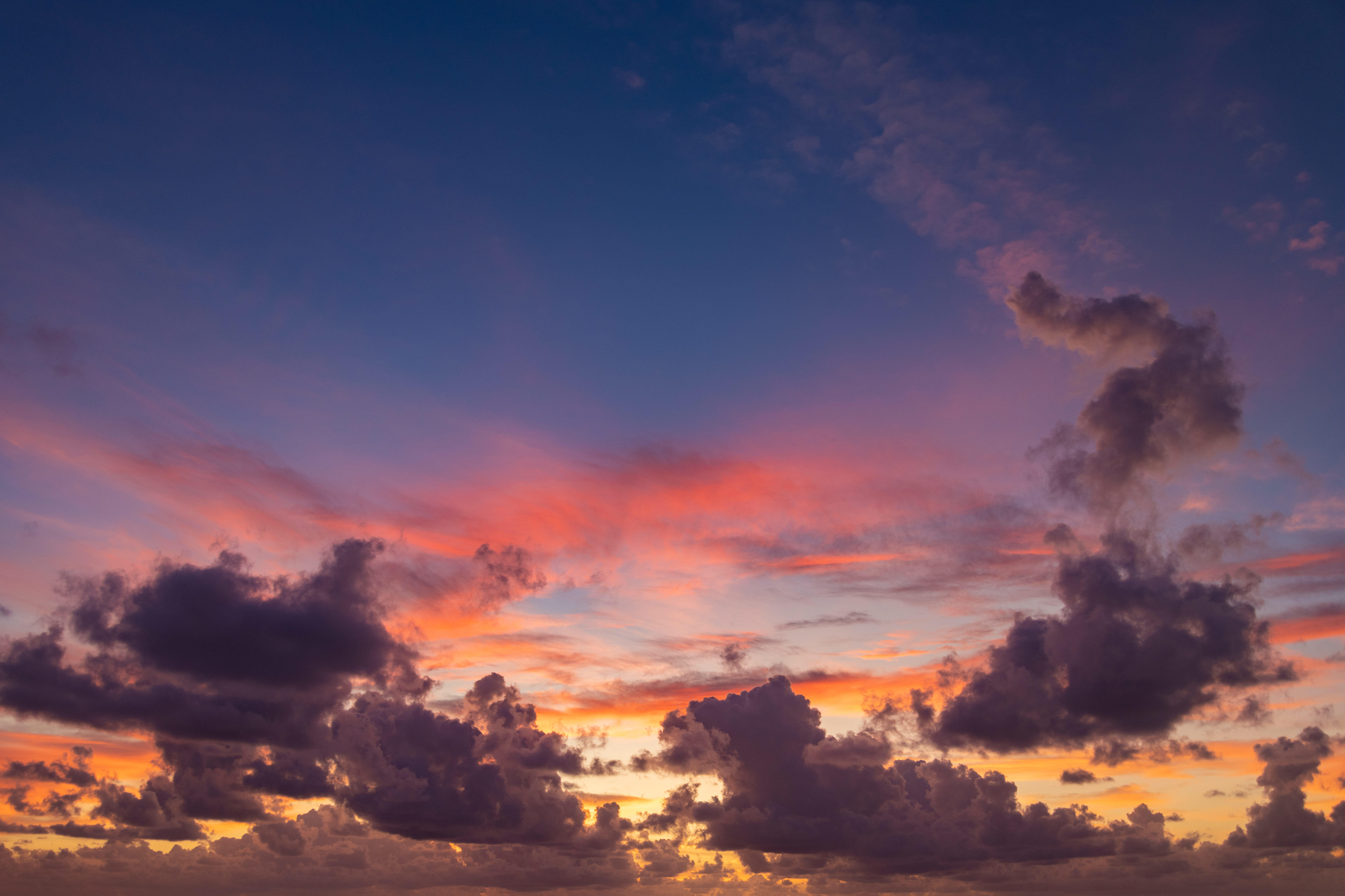 Paradise Hues | Luminar Marketplace(51)