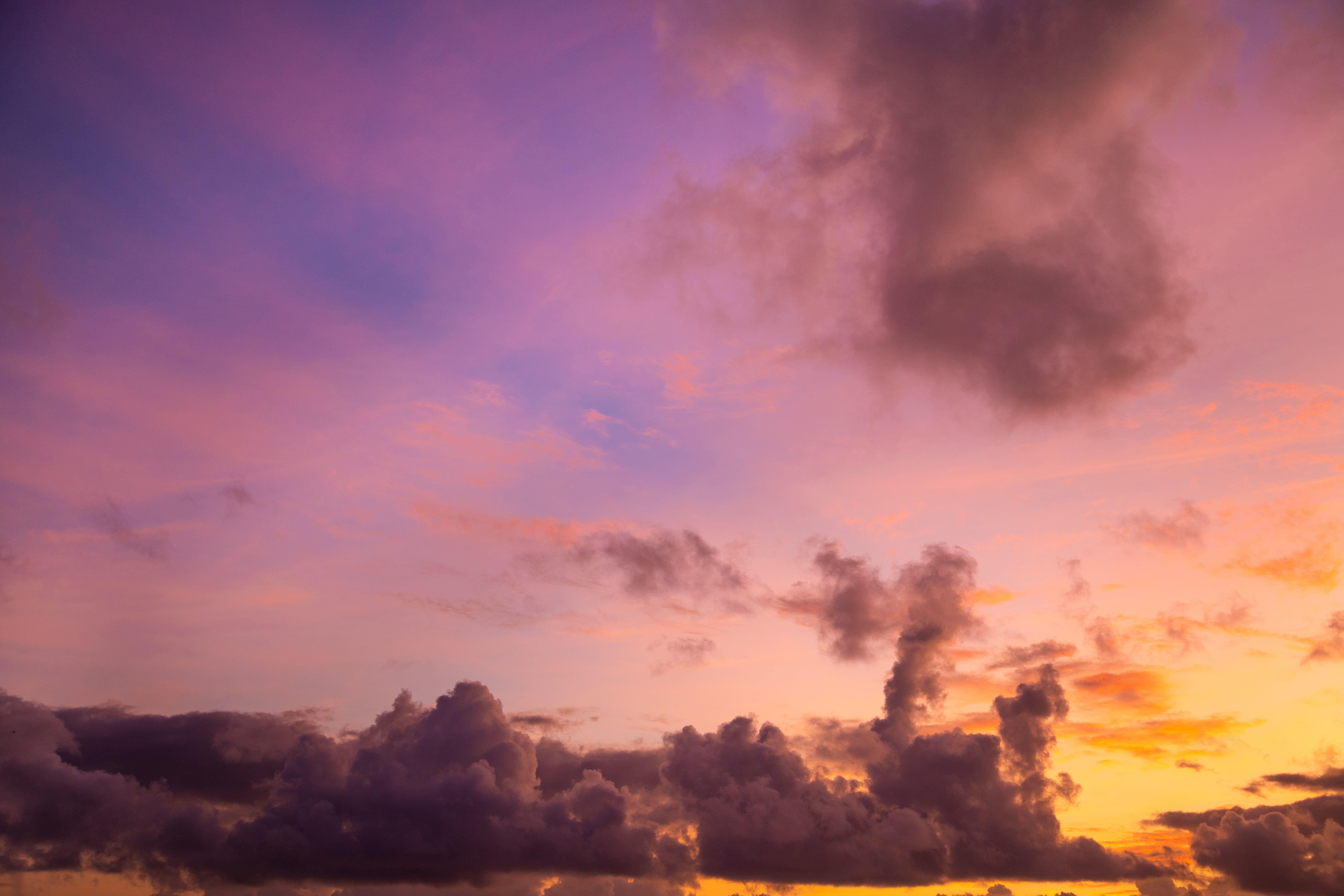 Paradise Hues | Luminar Marketplace(53)