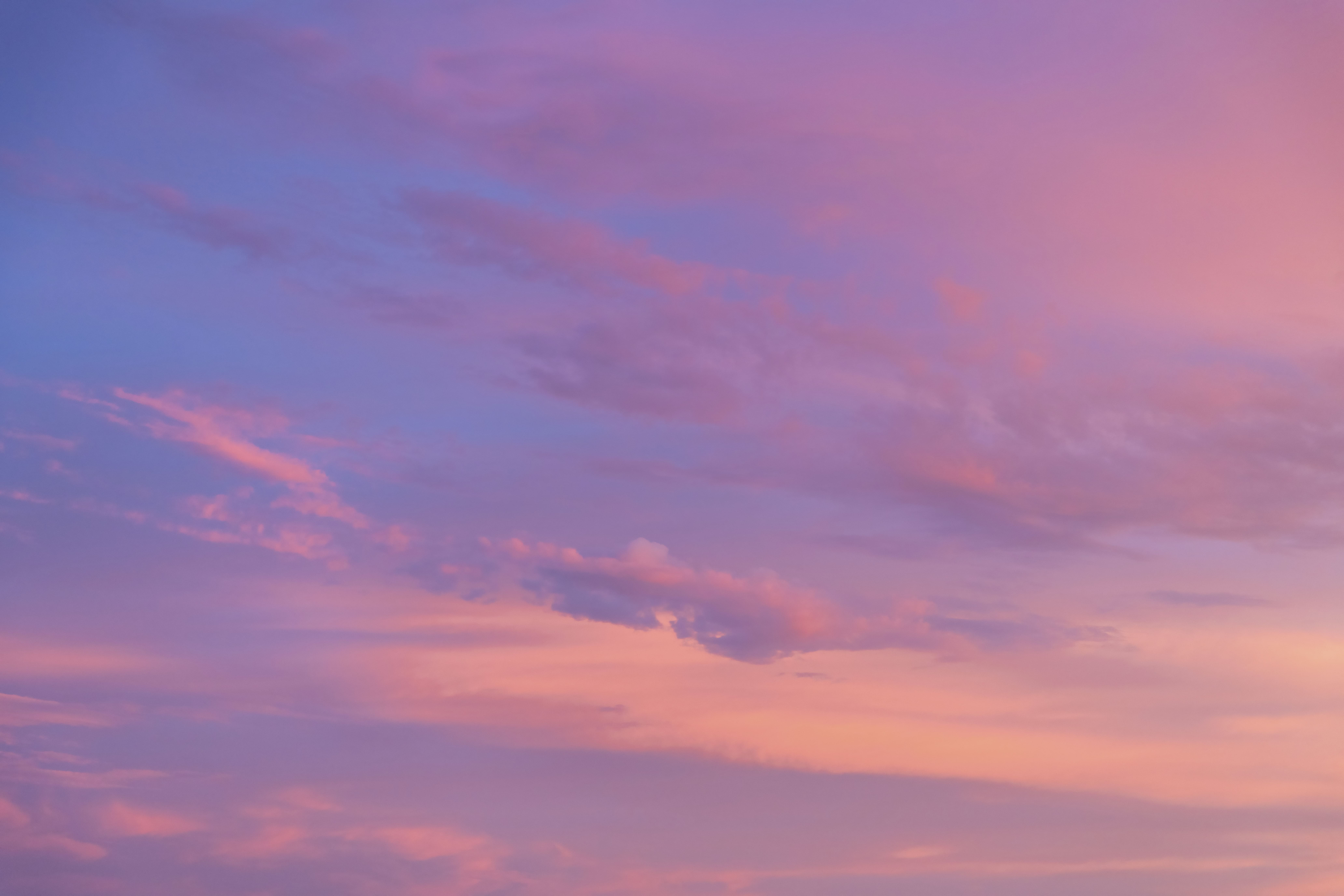 Paradise Hues | Luminar Marketplace(54)