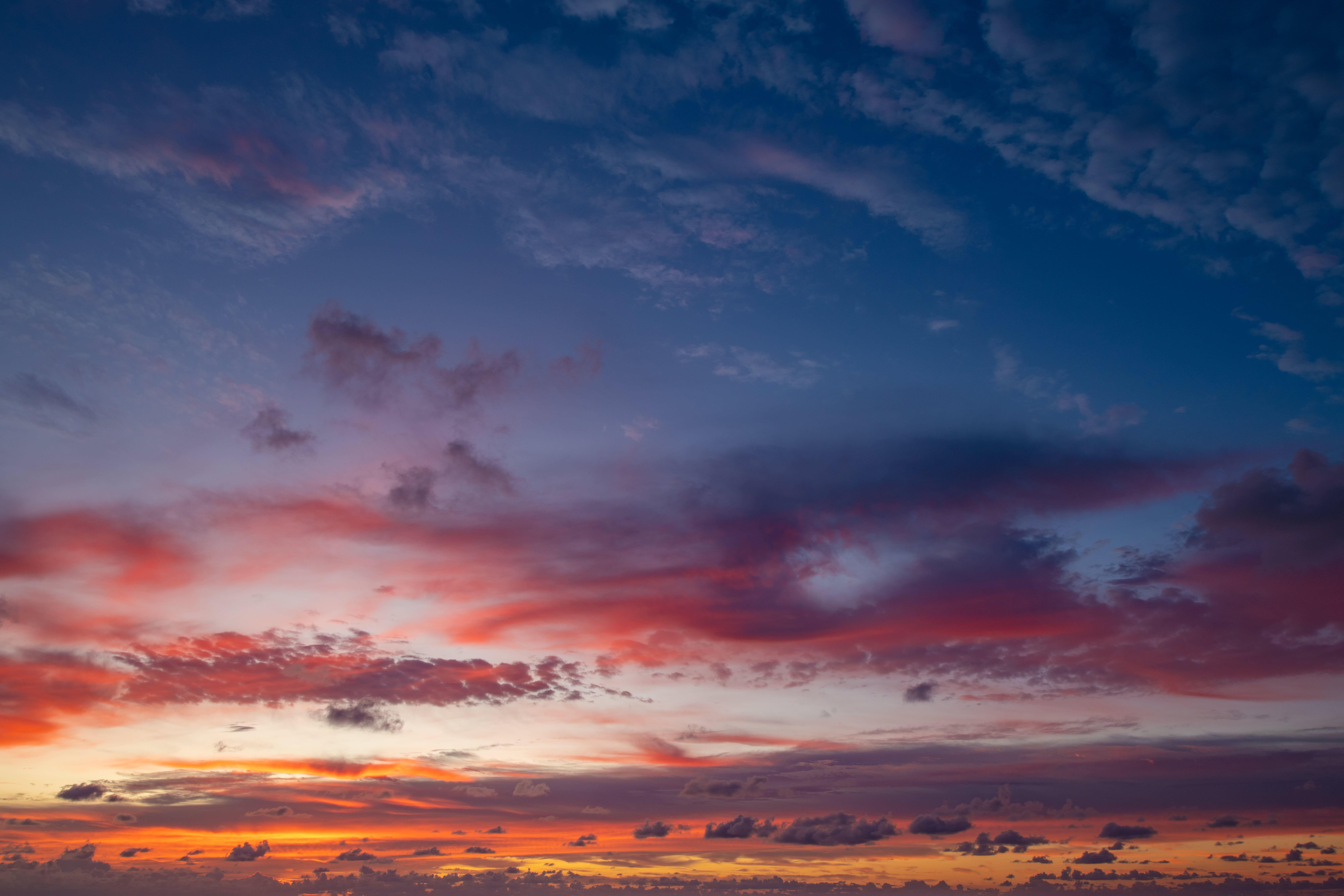 Paradise Hues | Luminar Marketplace(56)