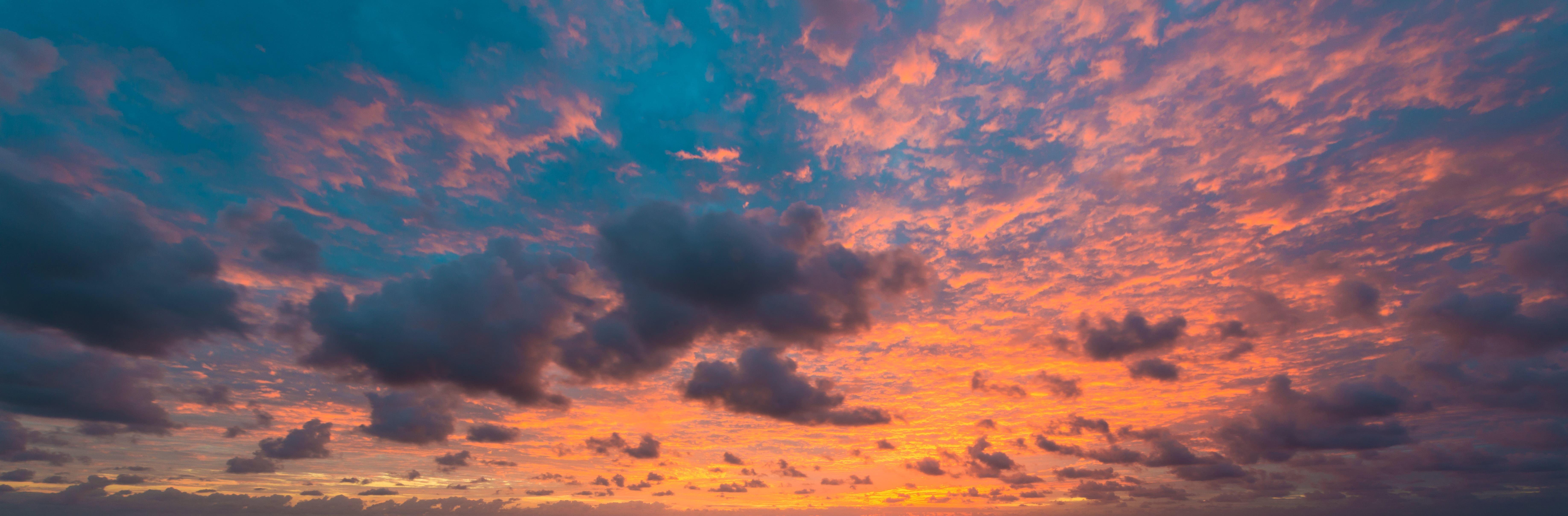 Paradise Hues | Luminar Marketplace(57)