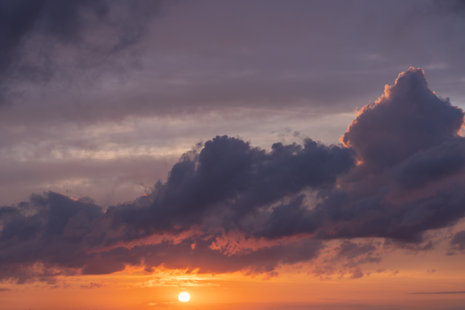 Dutch Sunsets Skies(54)