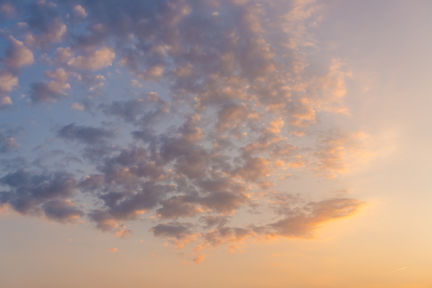 Dutch Sunsets Skies(57)