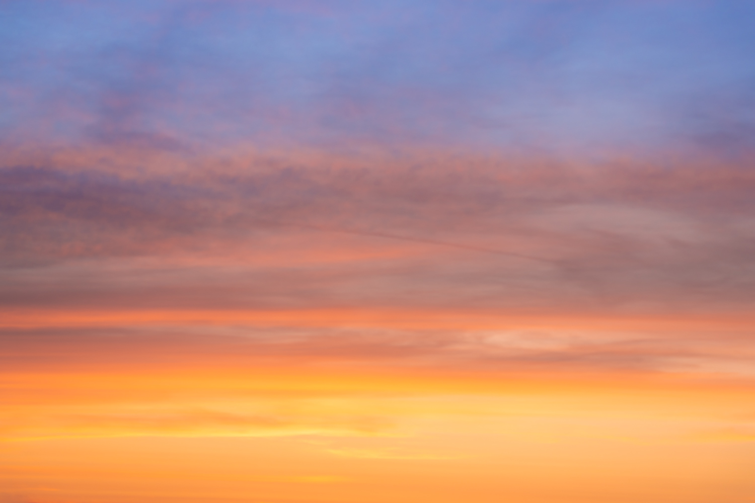 Dutch Sunsets Skies(58)