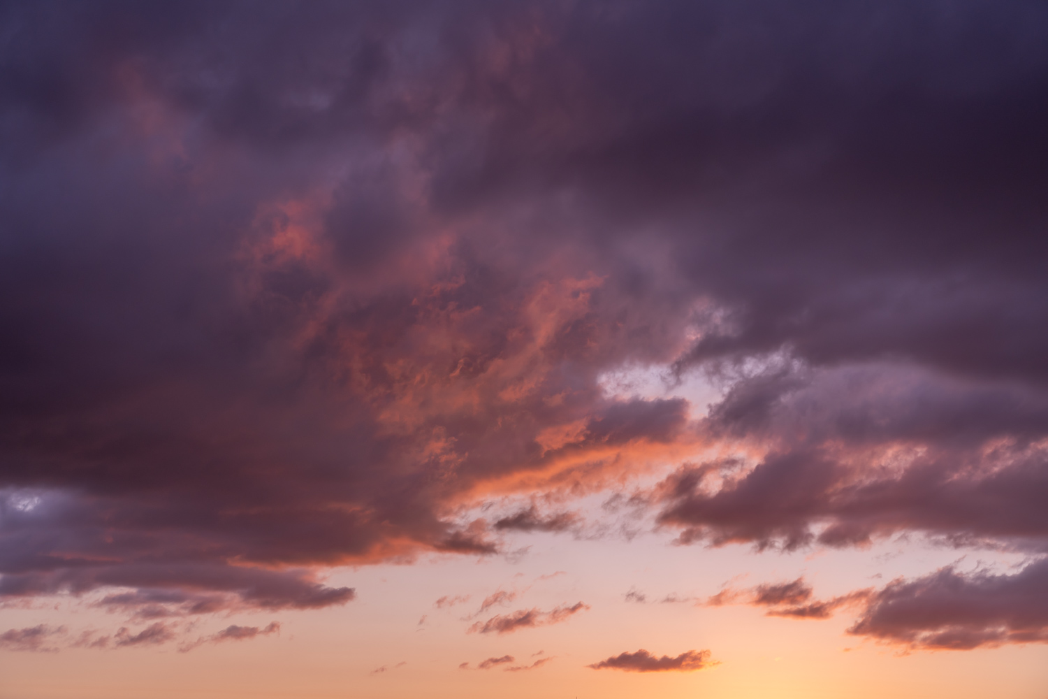 Dutch Sunsets Skies(70)