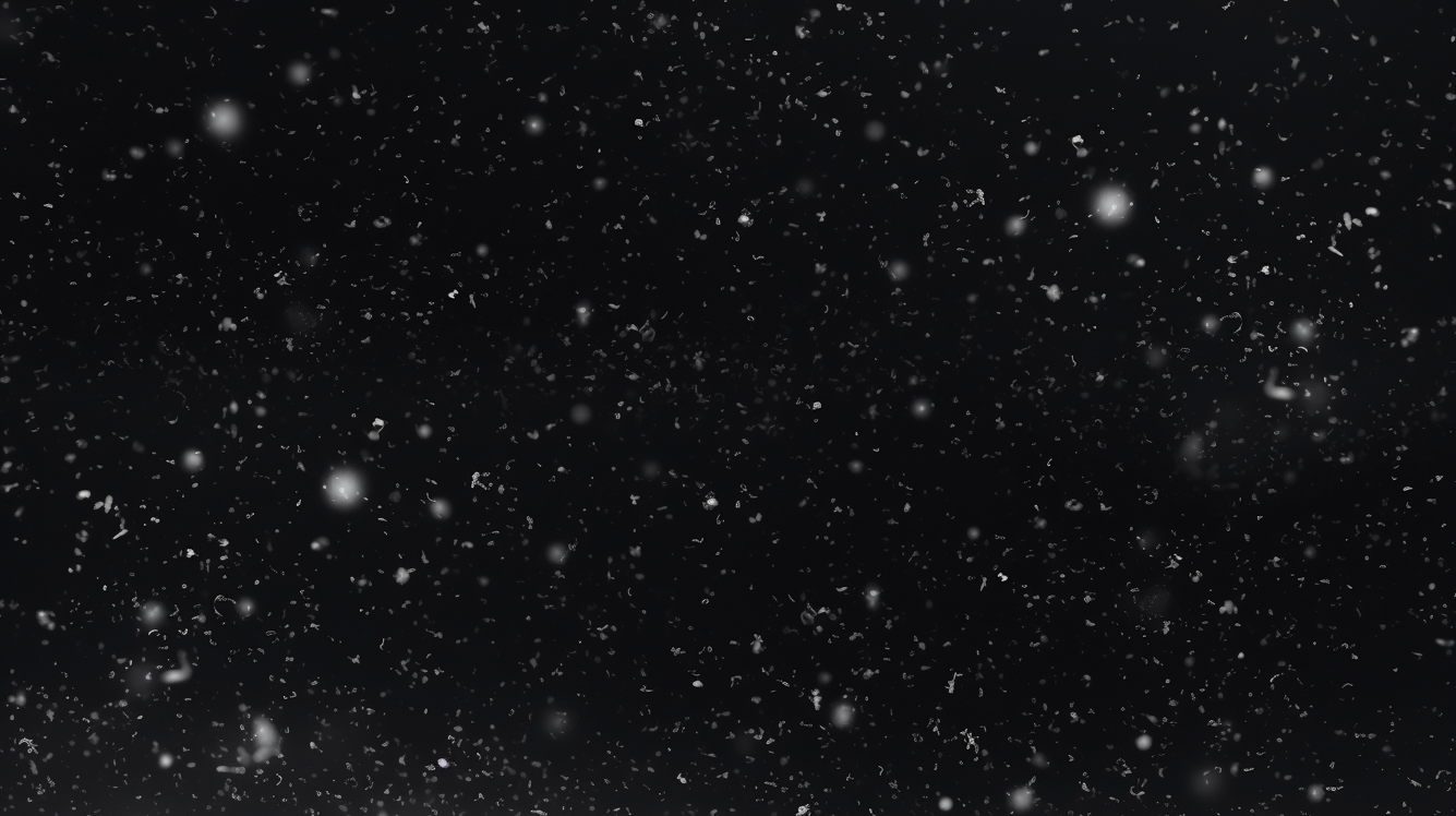 Winter Whispers Overlays(48)