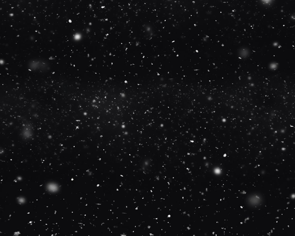 Winter Whispers Overlays(51)