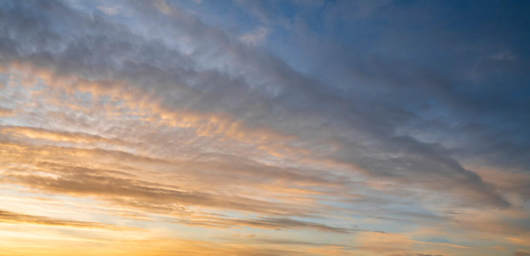 Golden Hour Dreams | Luminar Marketplace(58)