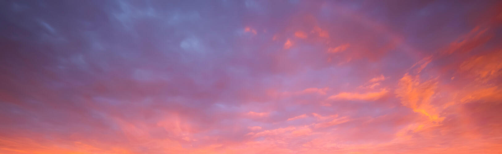 Golden Hour Dreams | Luminar Marketplace(69)