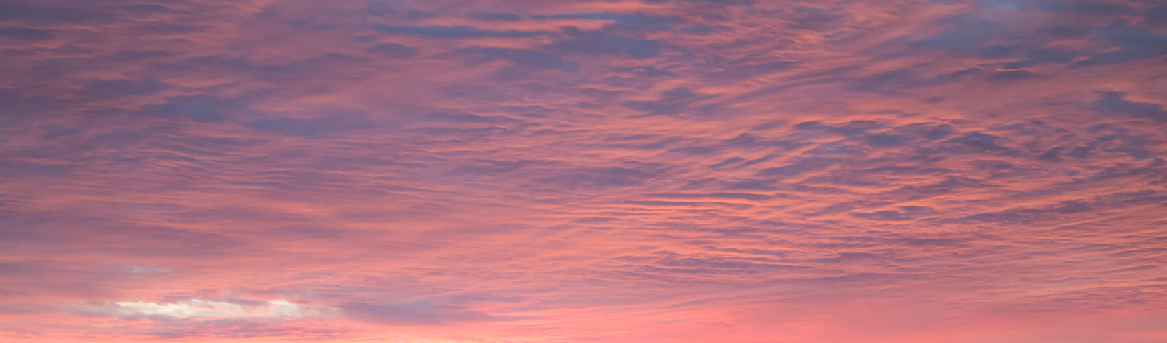 Golden Hour Dreams | Luminar Marketplace(75)