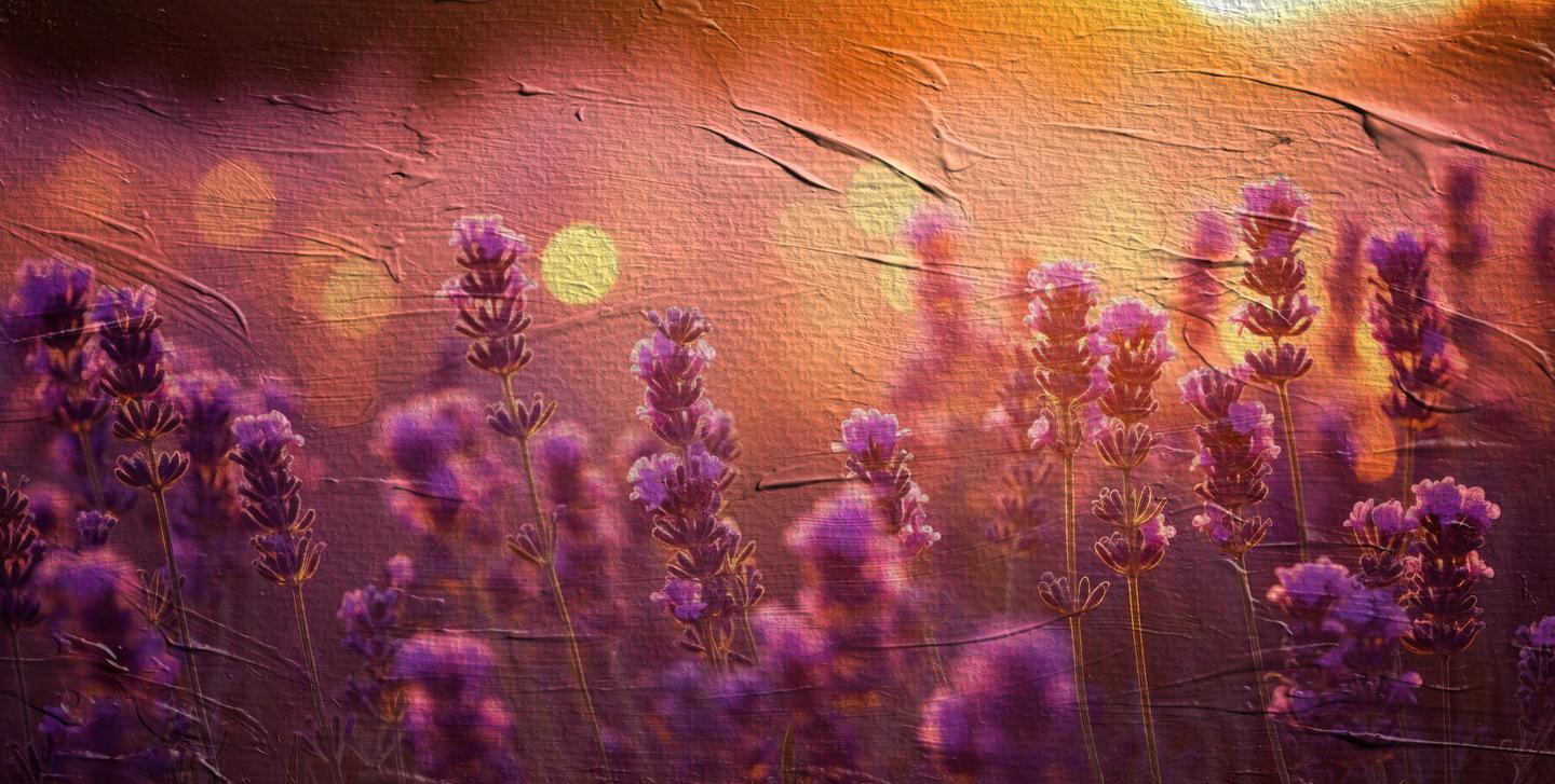 Artist's Surface Textures — slide 1