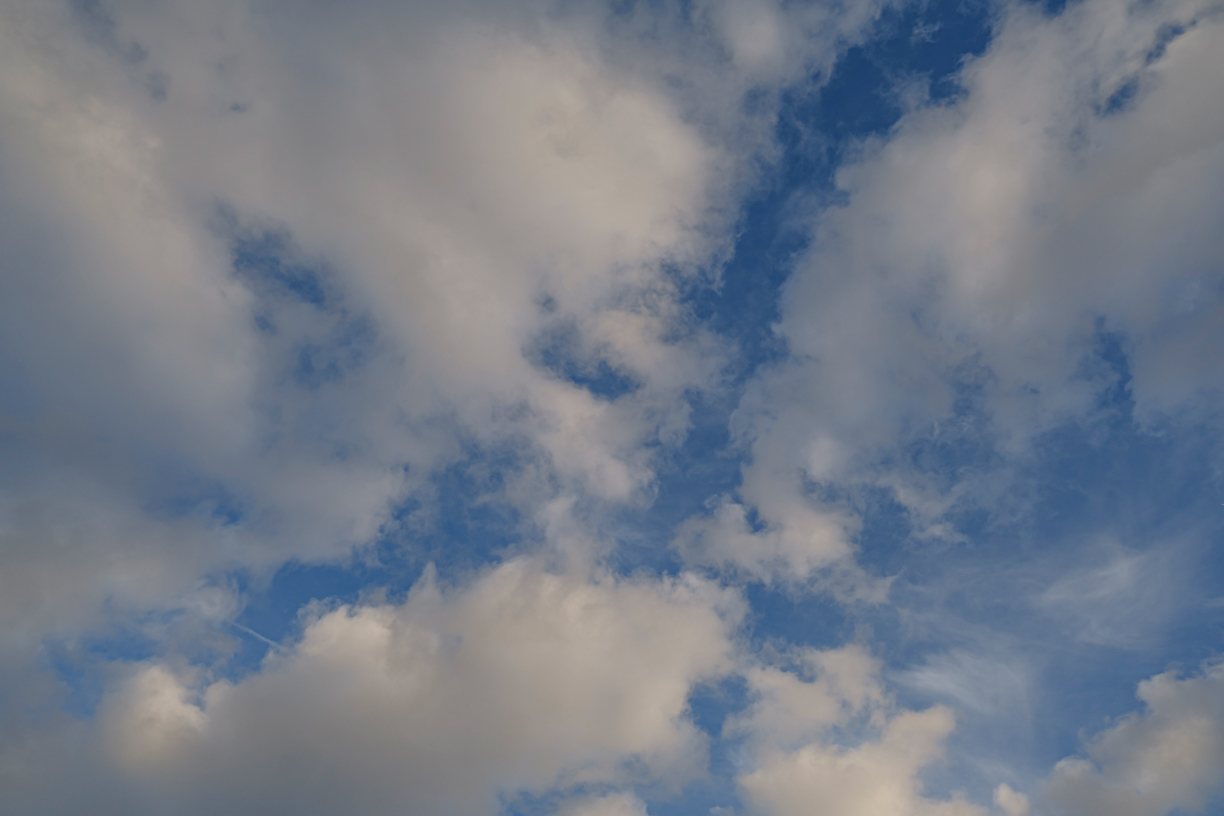 Country Skies(146)