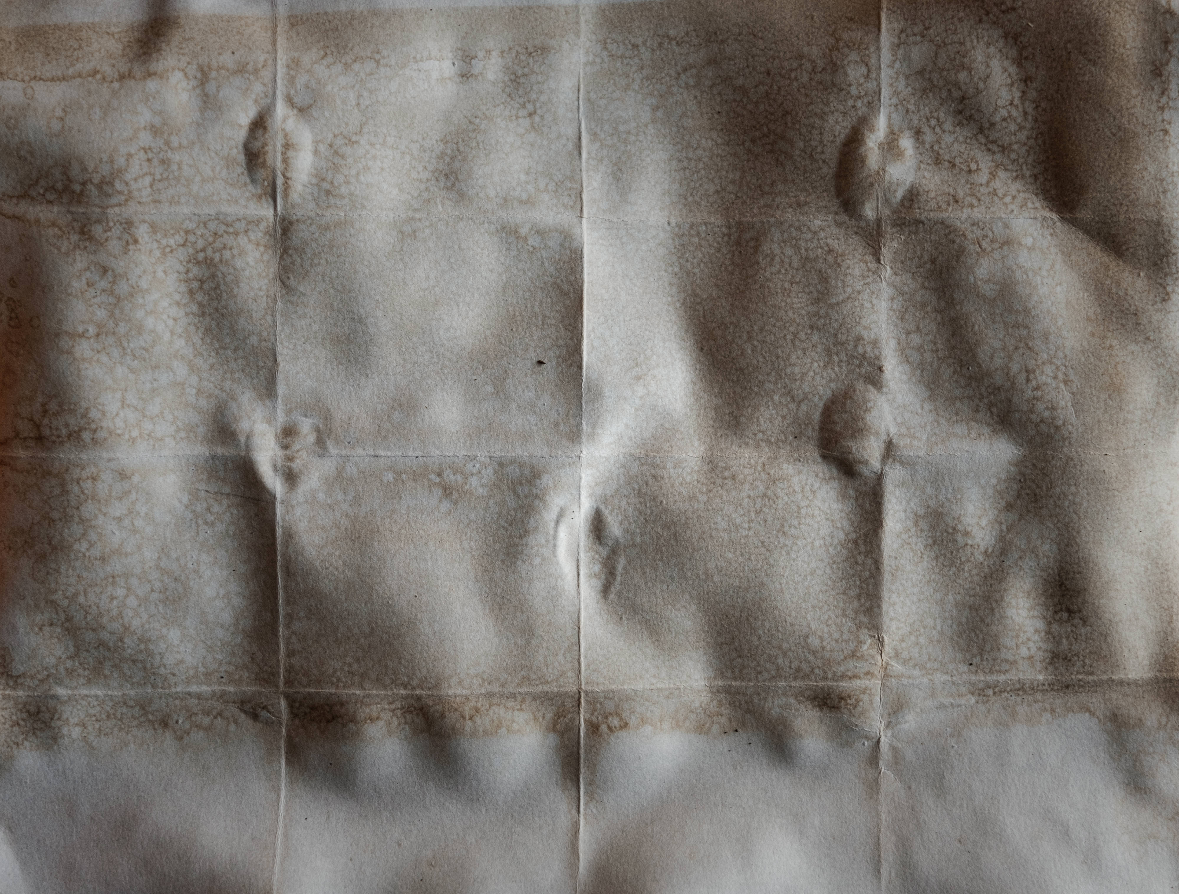 ​​​​Parchment Paper Overlays(51)
