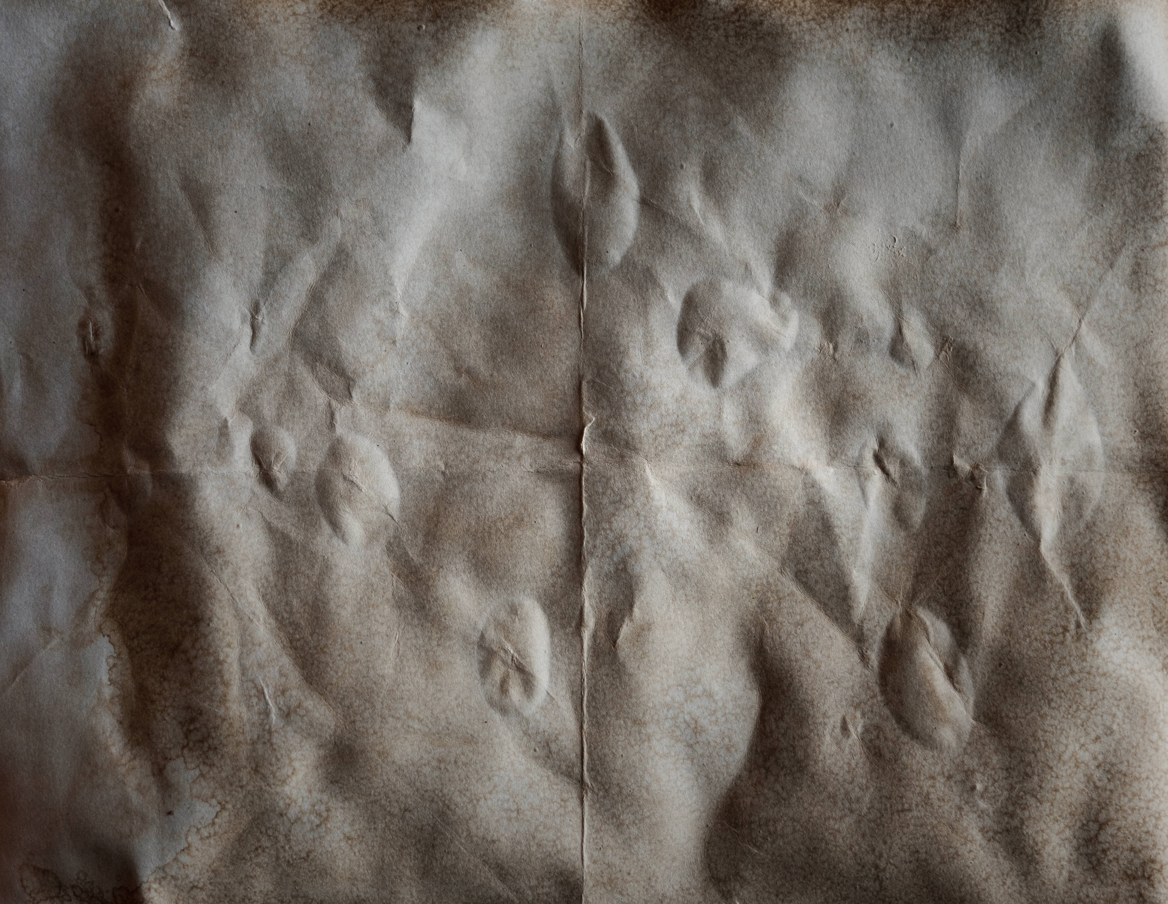 ​​​​Parchment Paper Overlays(53)