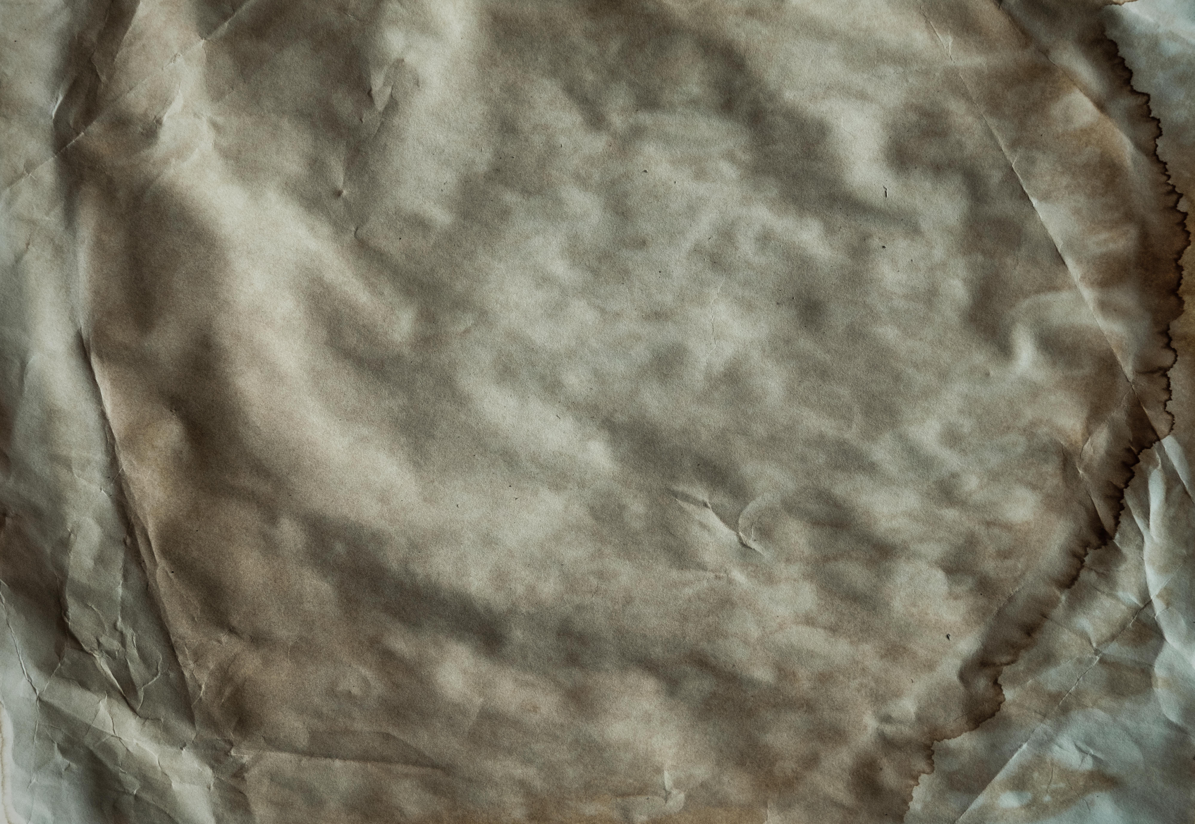 ​​​​Parchment Paper Overlays(57)