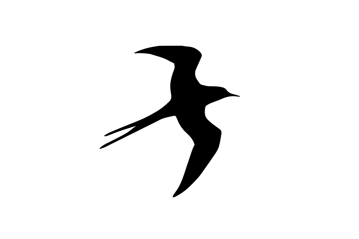 Lovely Bird Overlays(74)