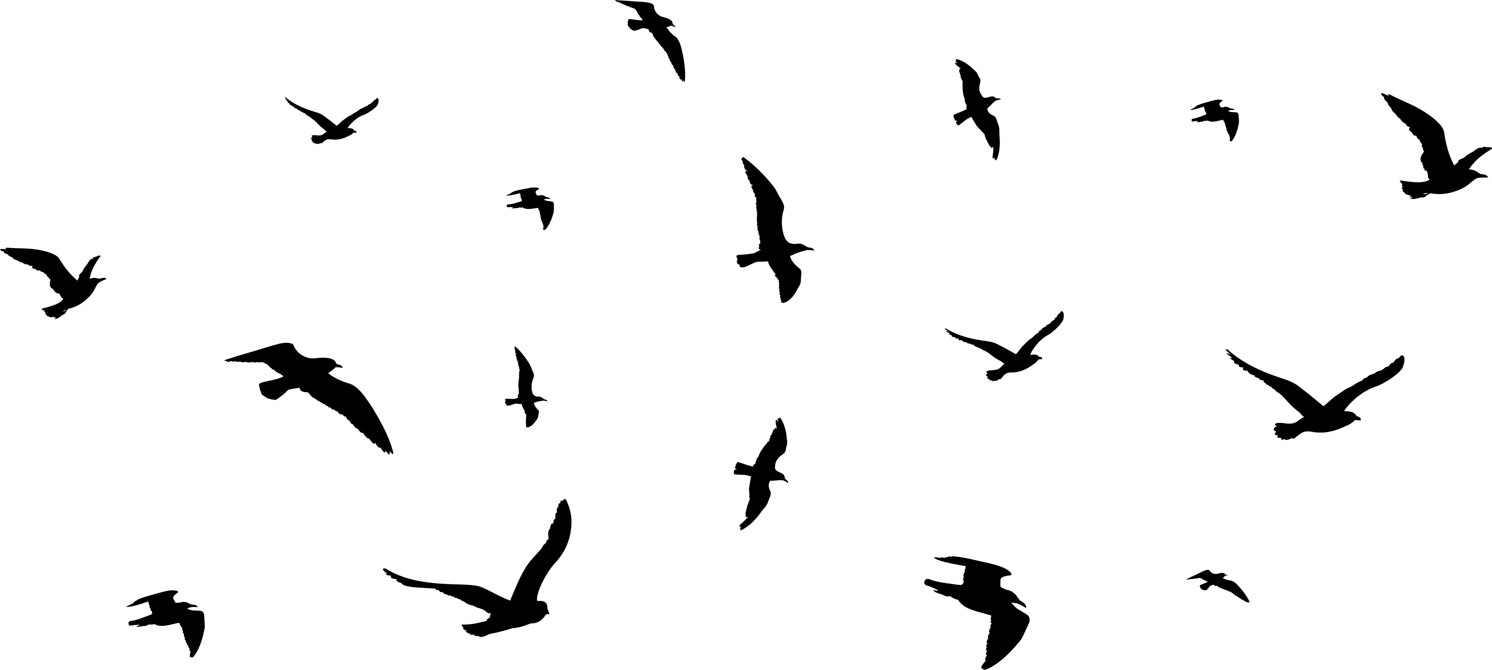 Lovely Bird Overlays(75)