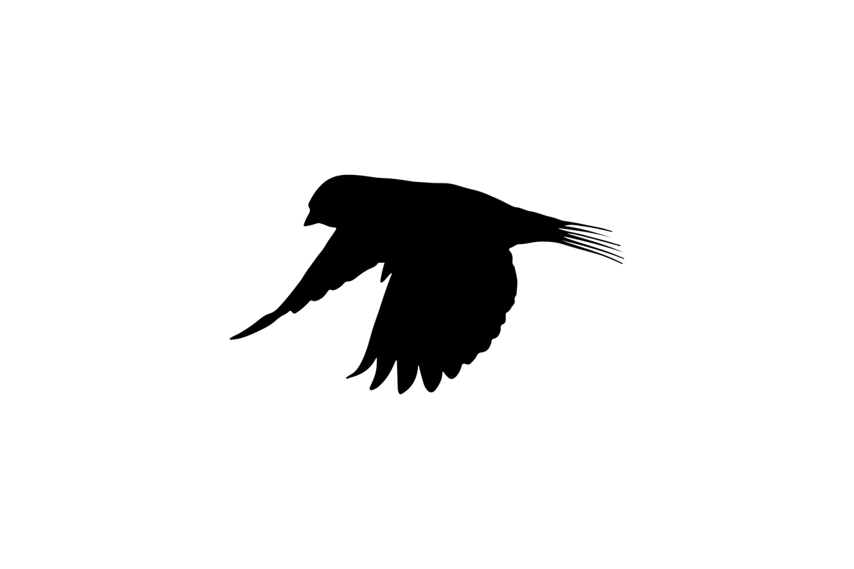 Lovely Bird Overlays(76)