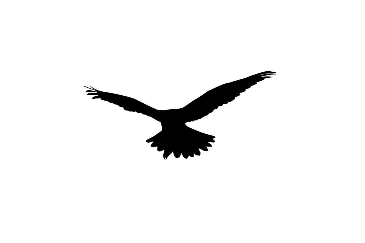 Lovely Bird Overlays(77)