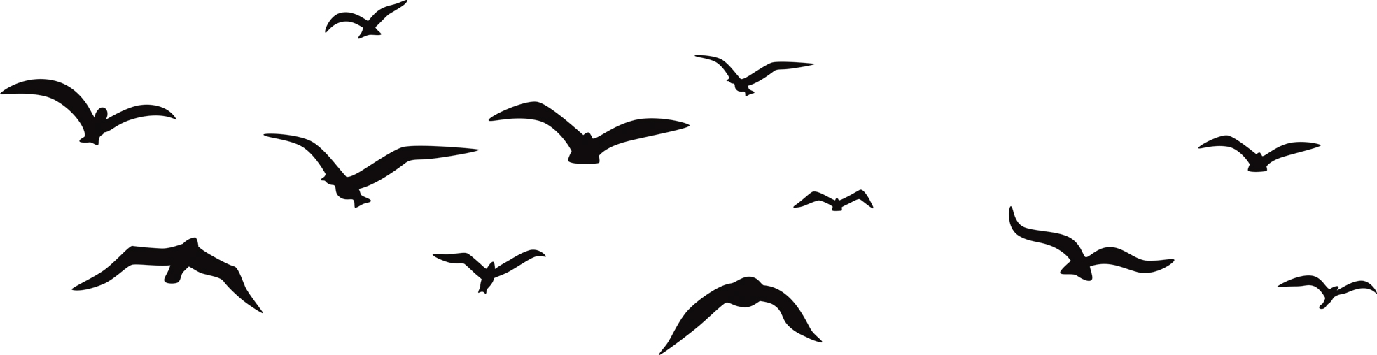 Lovely Bird Overlays(89)