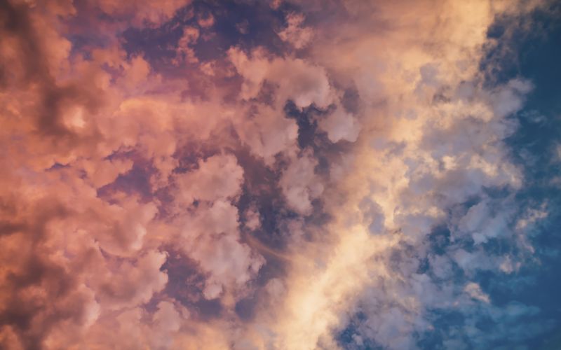 Skies included in the pack(2)