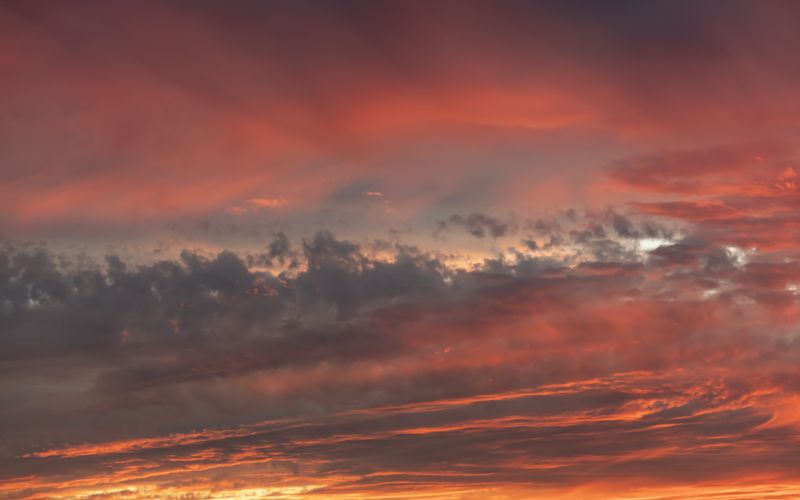 Skies included in the pack(24)