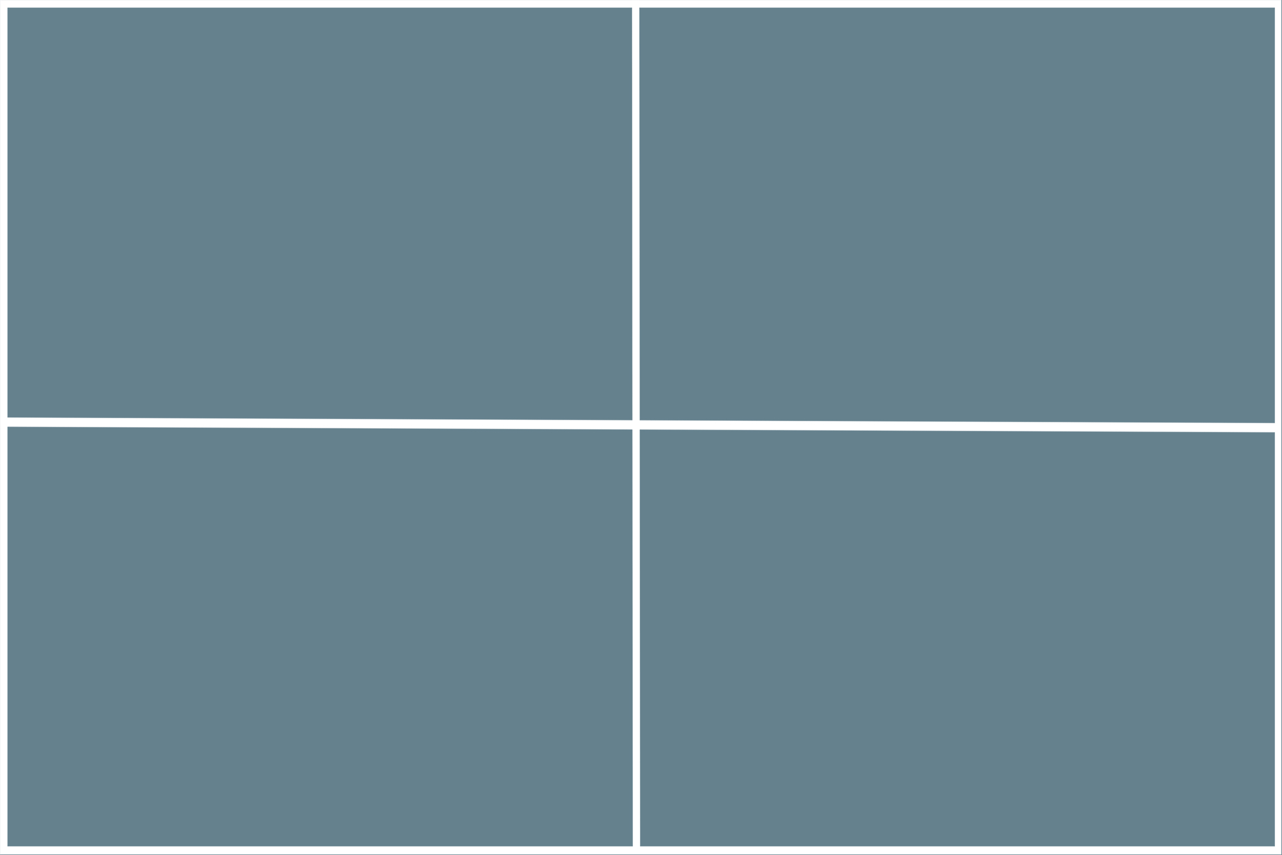 Composition Grids & Guides(55)