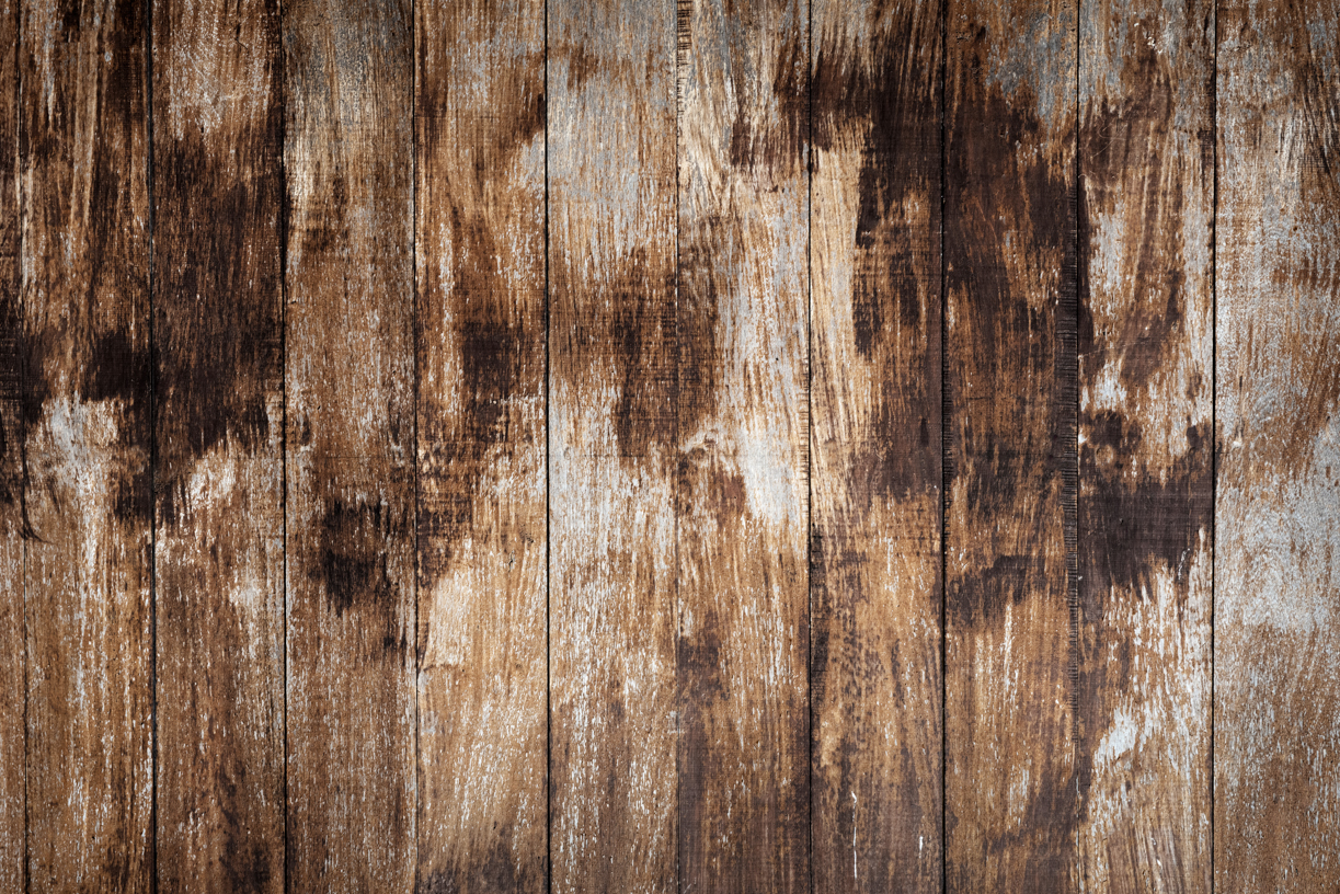 Ultimate Timber Backdrops Backgrounds(114)