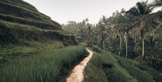 Global Tones LUTs, Part I  image