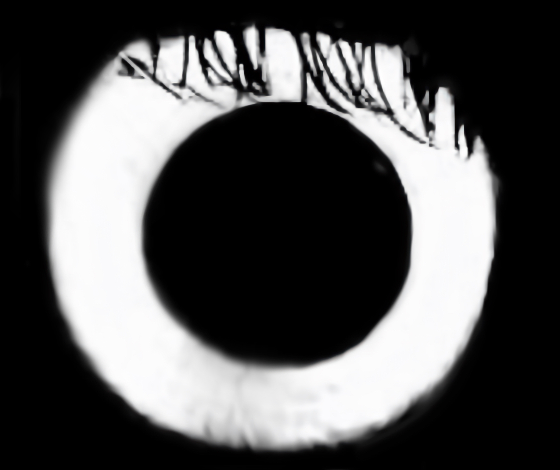 Catchlight Reflections Overlays(50)