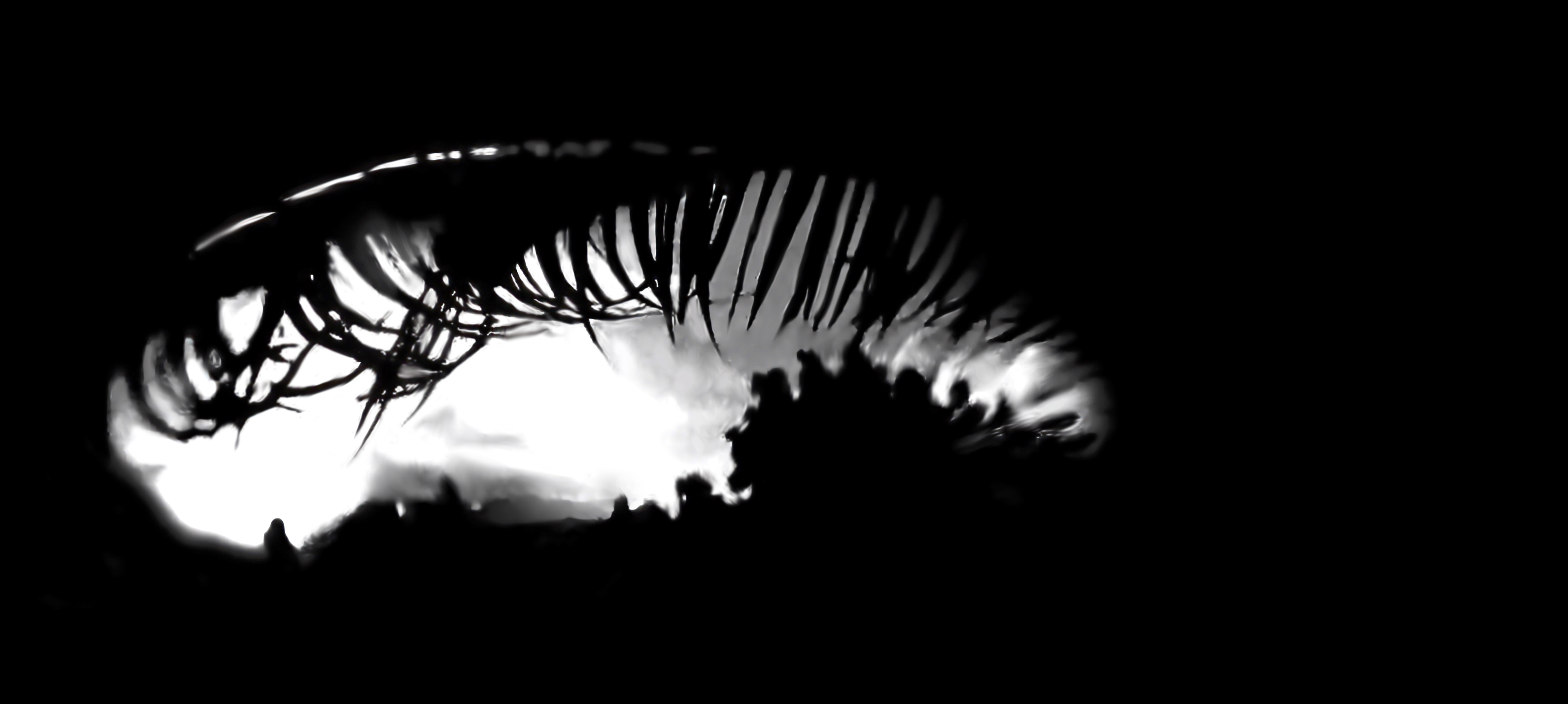 Catchlight Reflections Overlays(51)