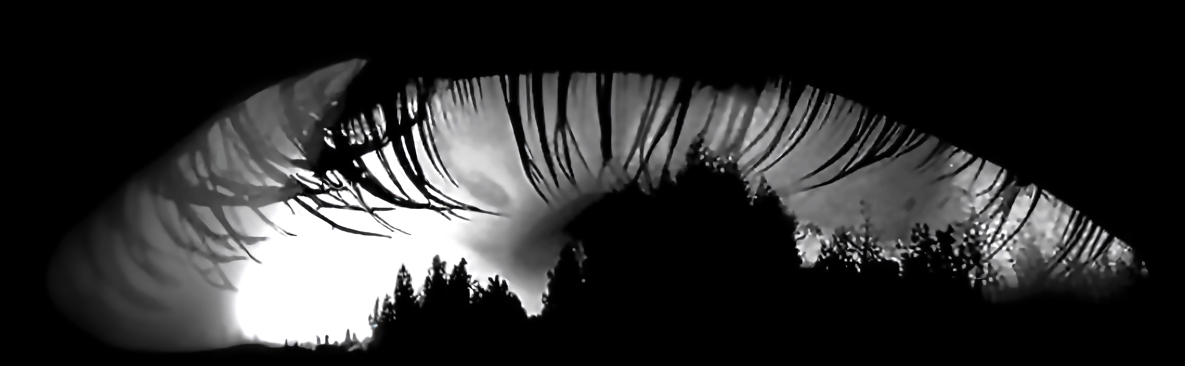 Catchlight Reflections Overlays(53)