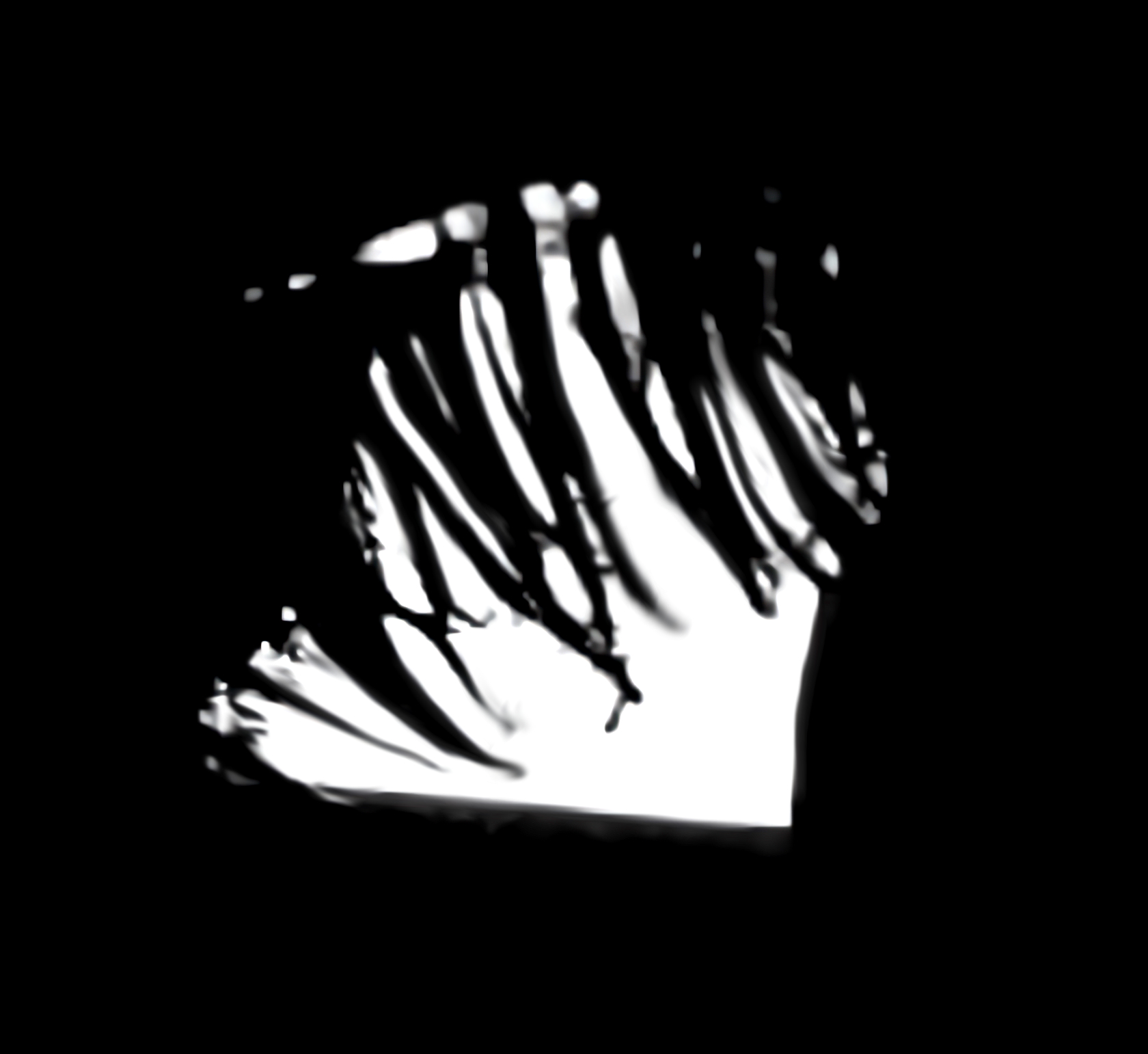 Catchlight Reflections Overlays(54)