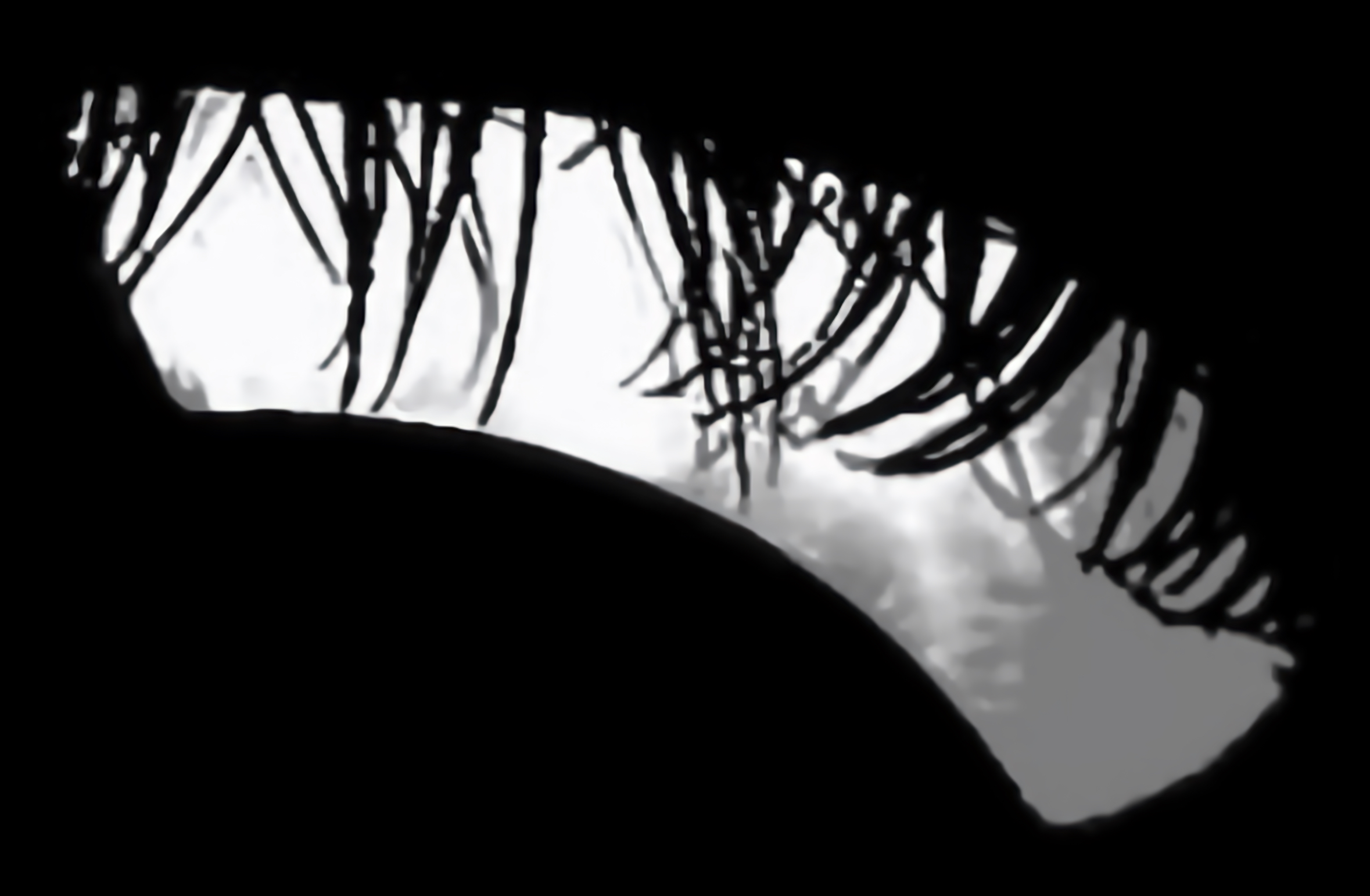 Catchlight Reflections Overlays(57)