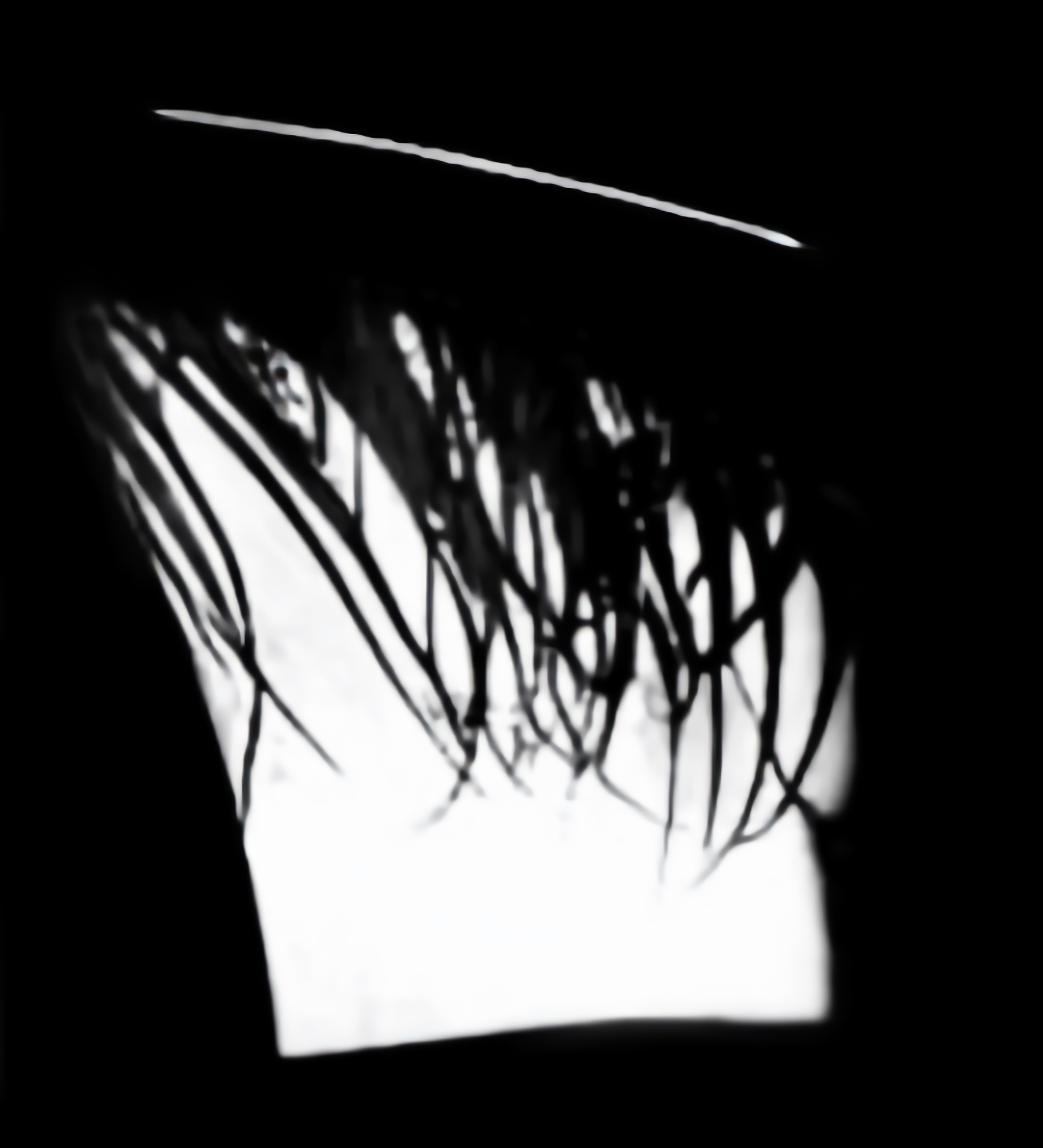 Catchlight Reflections Overlays(58)