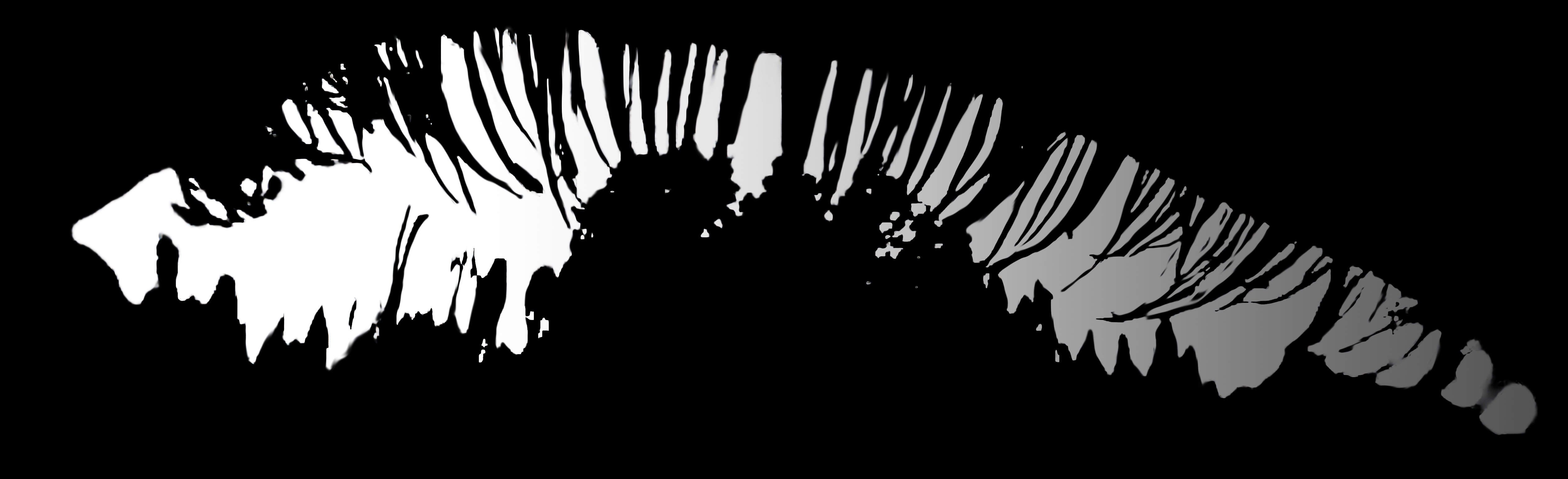 Catchlight Reflections Overlays(59)