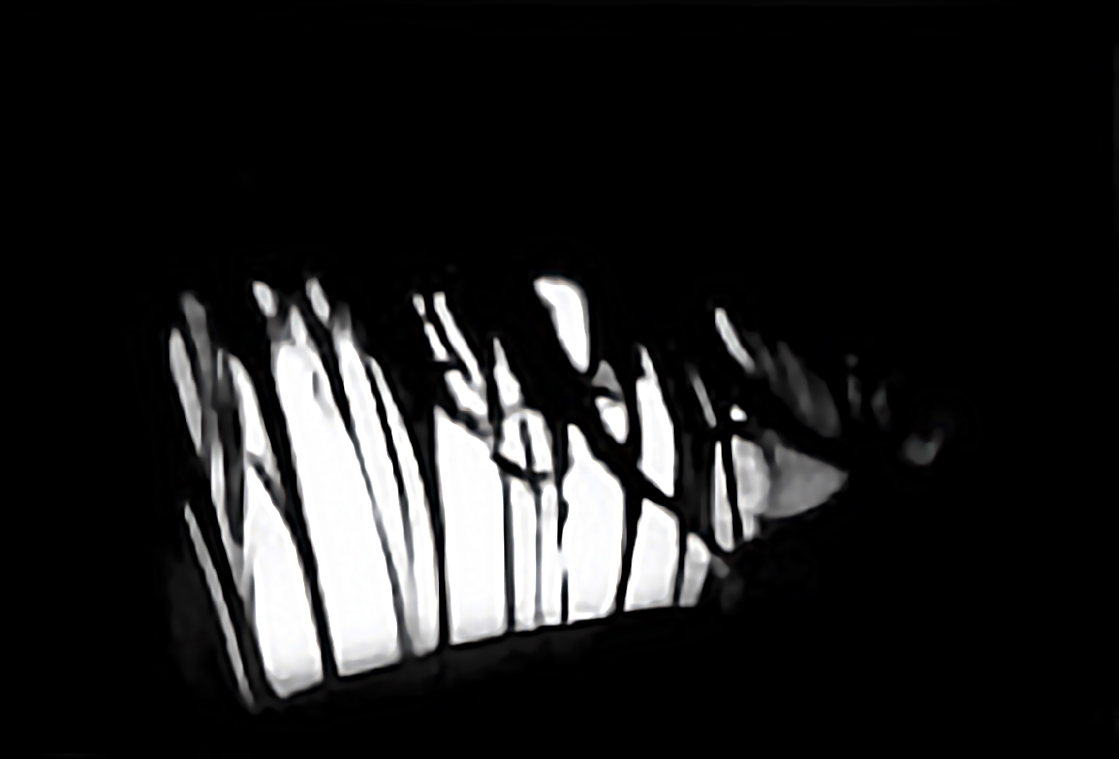 Catchlight Reflections Overlays(60)