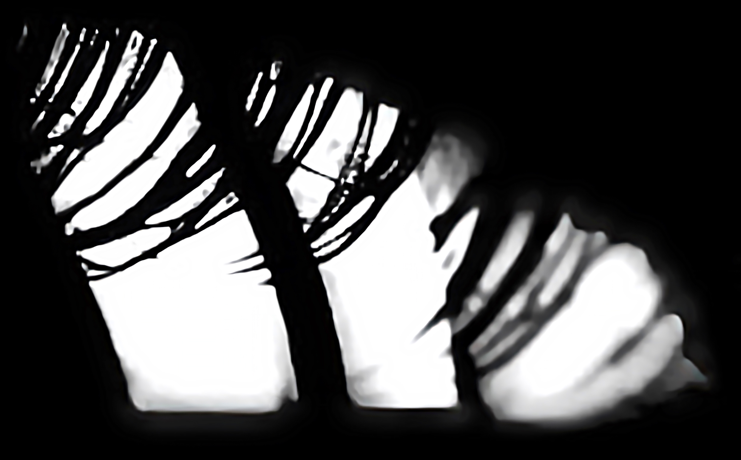 Catchlight Reflections Overlays(61)