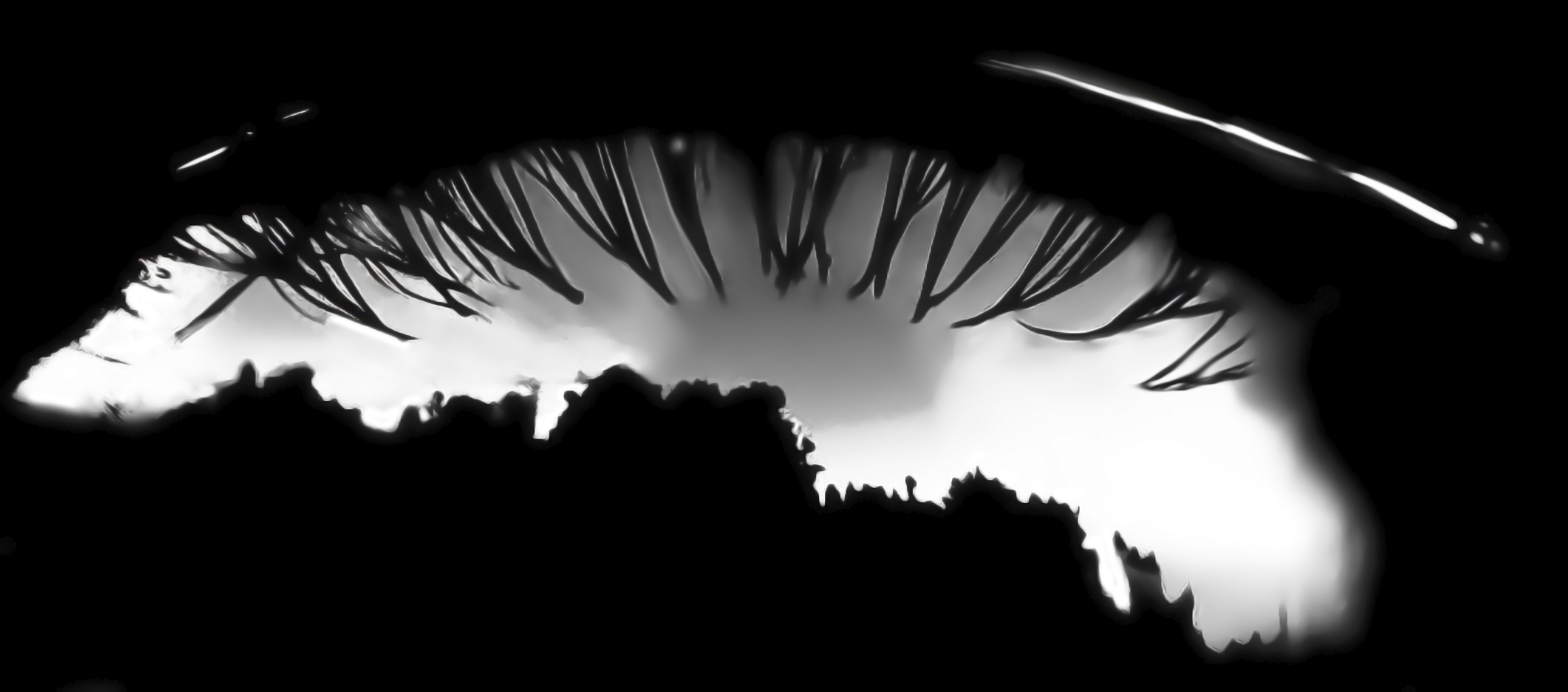 Catchlight Reflections Overlays(63)