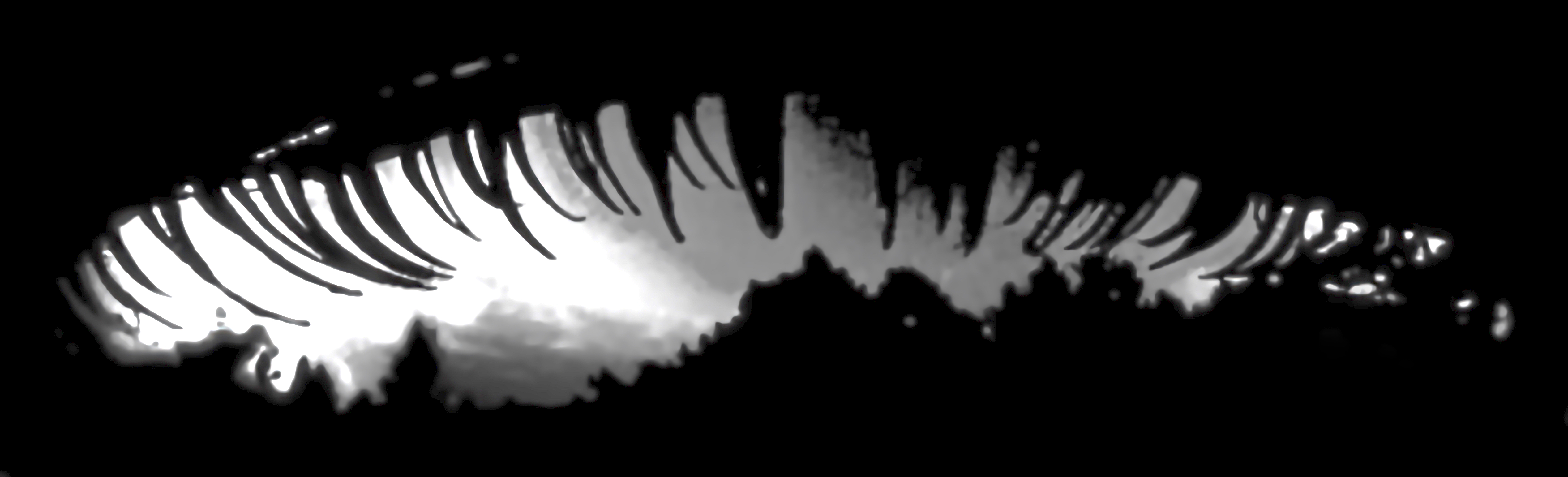 Catchlight Reflections Overlays(64)