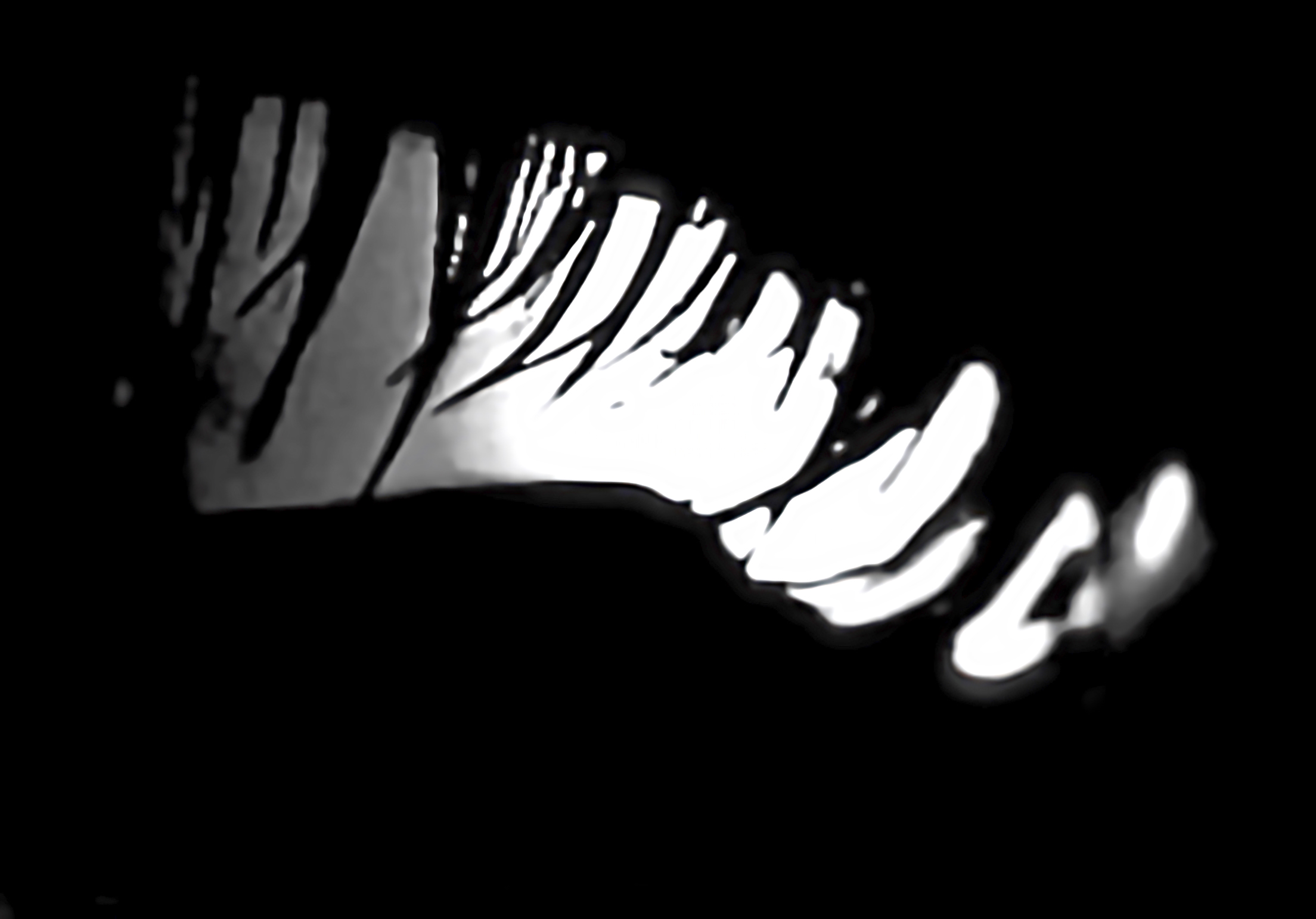 Catchlight Reflections Overlays(65)