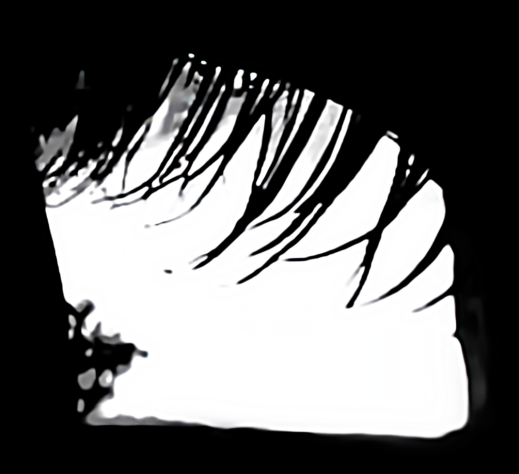 Catchlight Reflections Overlays(66)