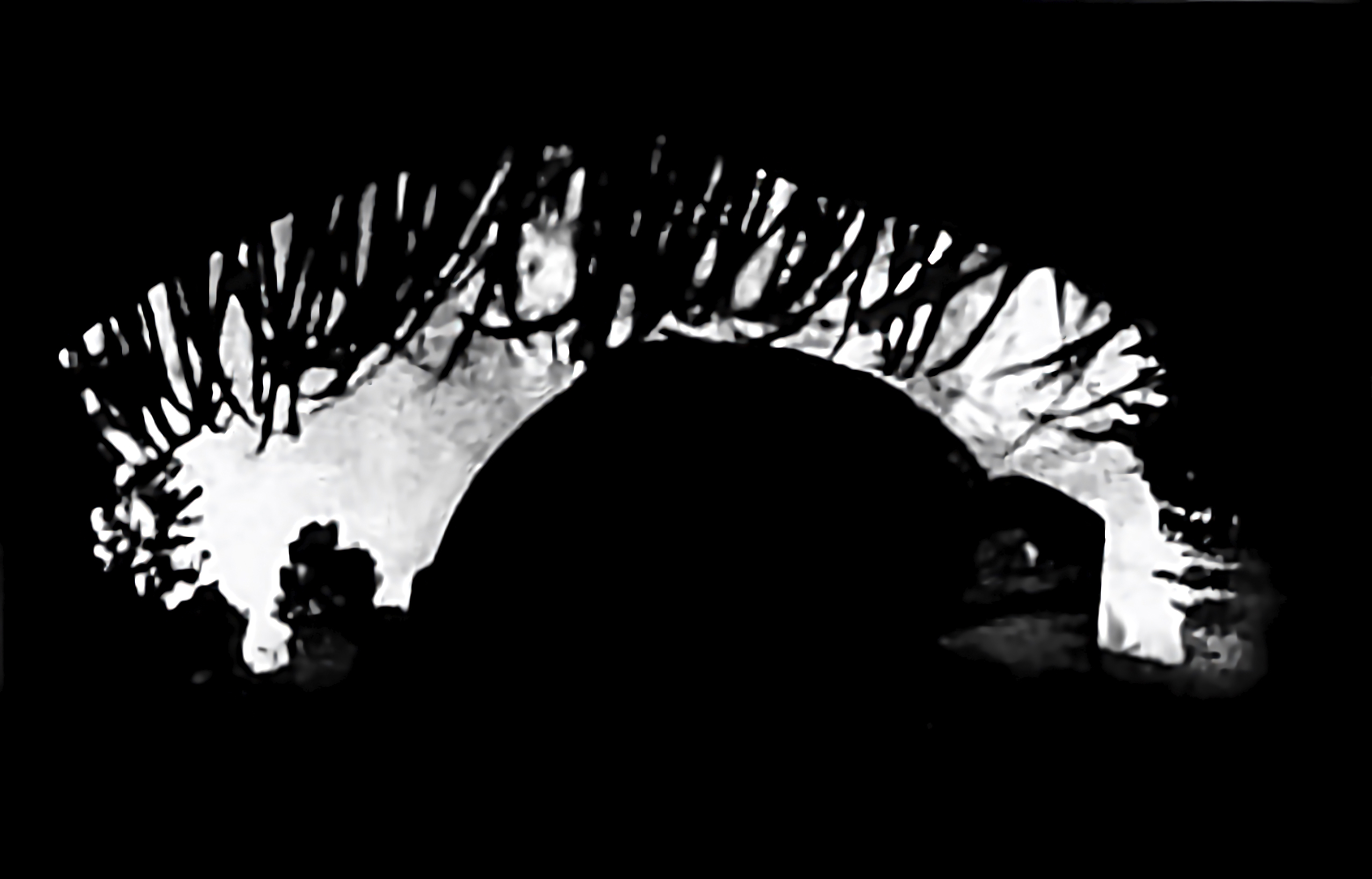 Catchlight Reflections Overlays(67)