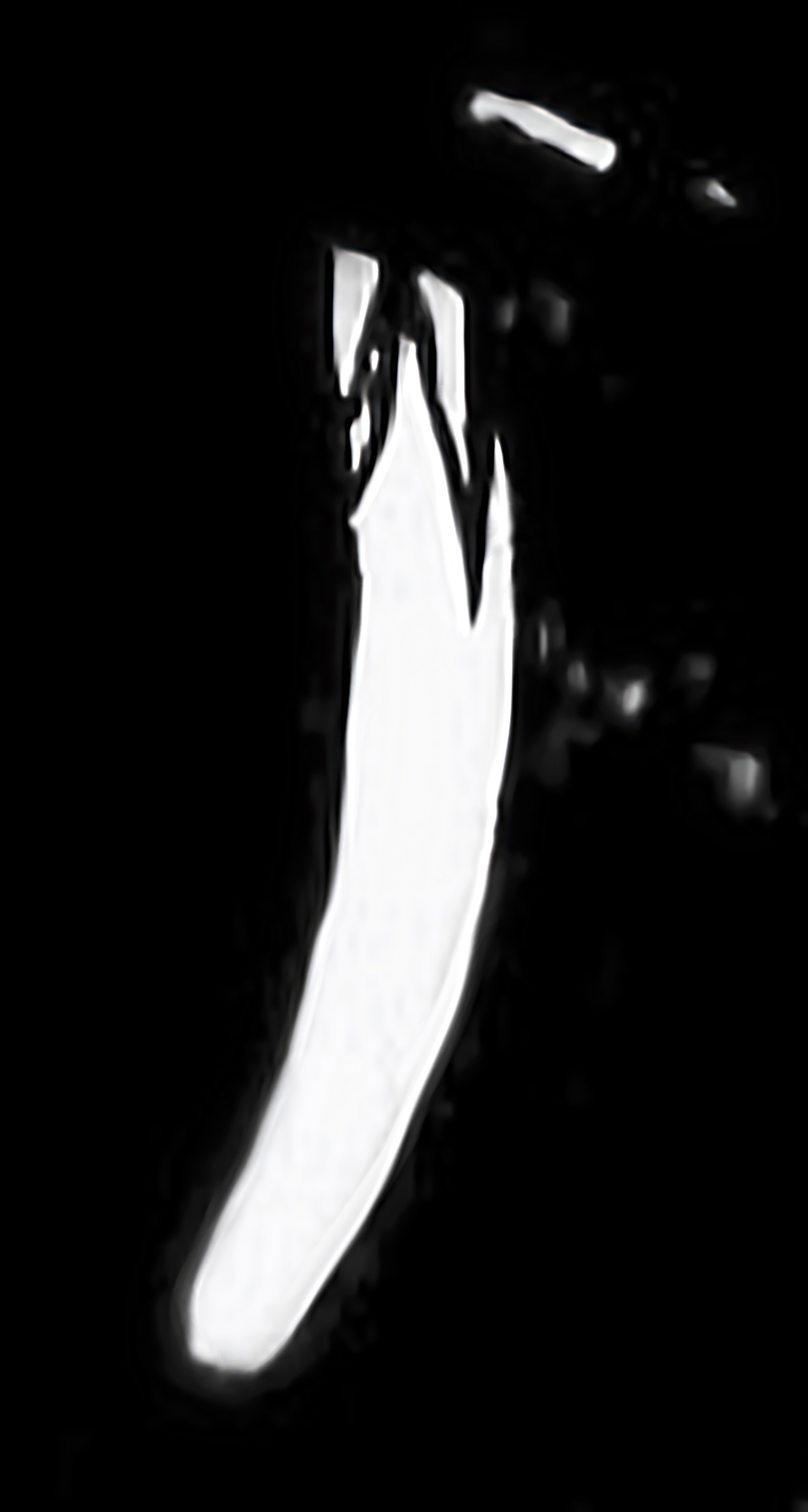 Catchlight Reflections Overlays(69)