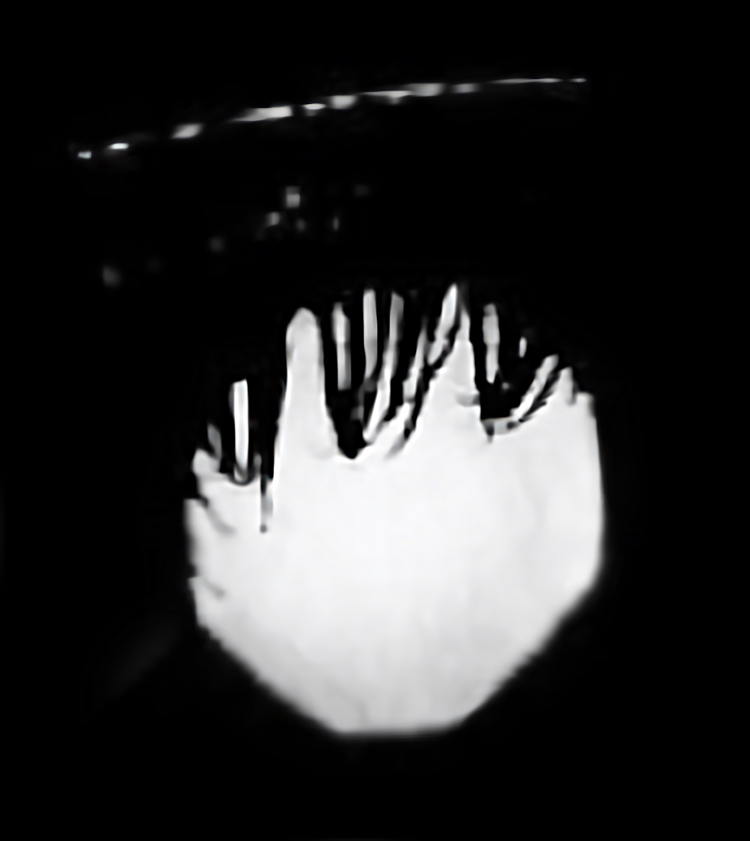 Catchlight Reflections Overlays(73)