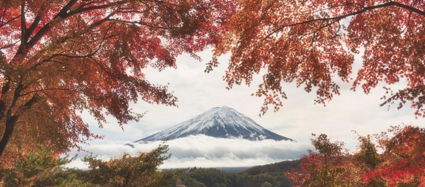 Spectacular Sceneries Bundle — slide 1
