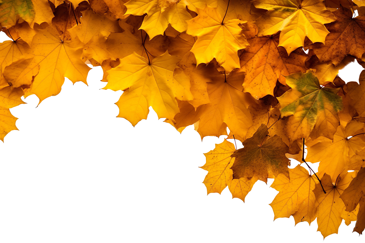 Autumn Leaves Magic(51)